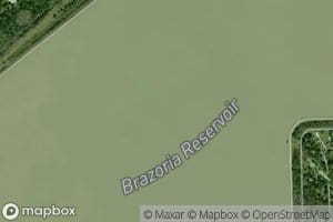 Brazoria Reservoir