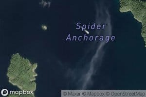 Spider Anchorage