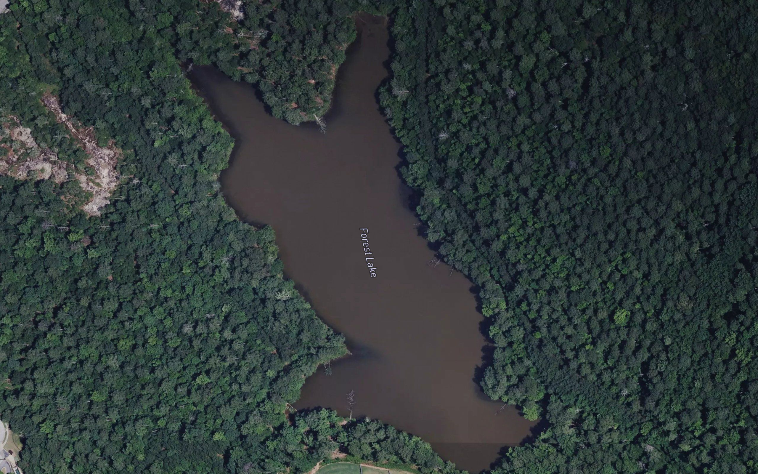 Forest Lake