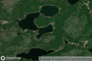 Lac Carpocapse
