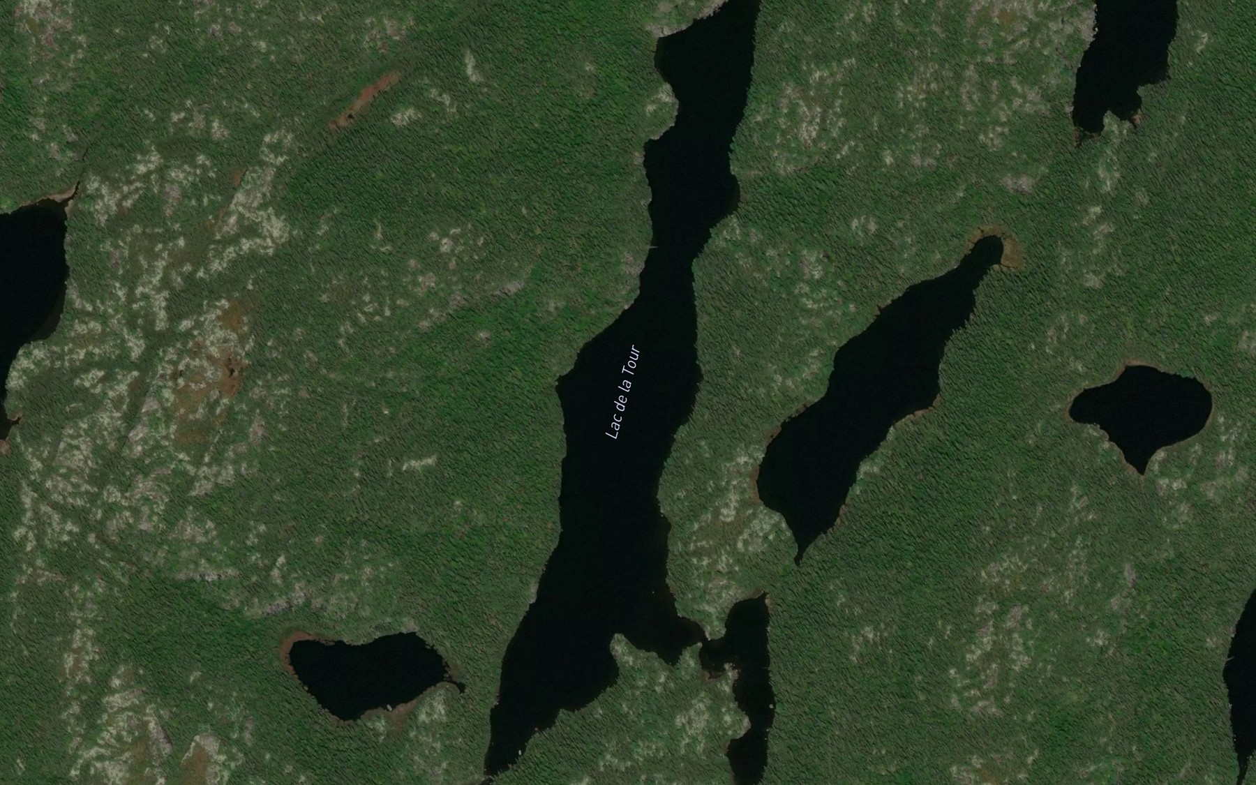 Satellite map of the Lac de la Tour