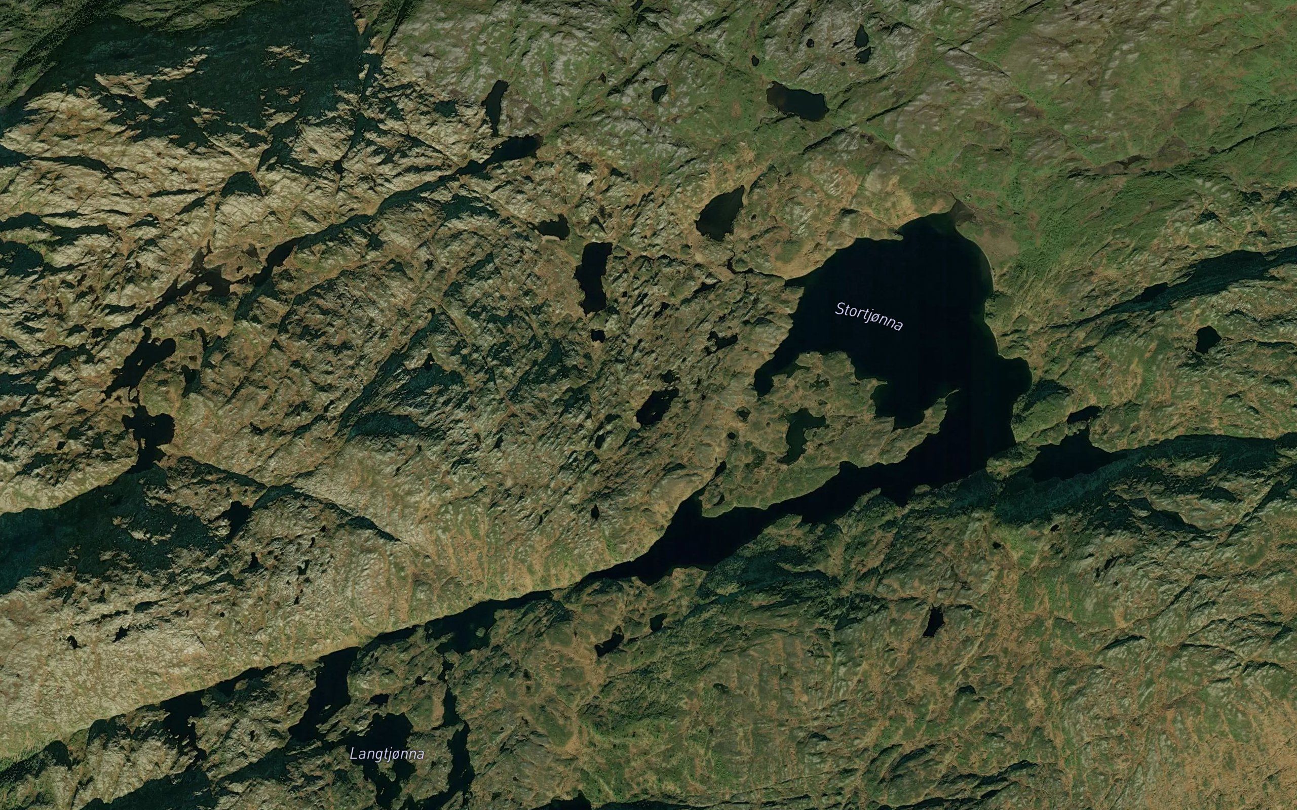 Godfisktjonna