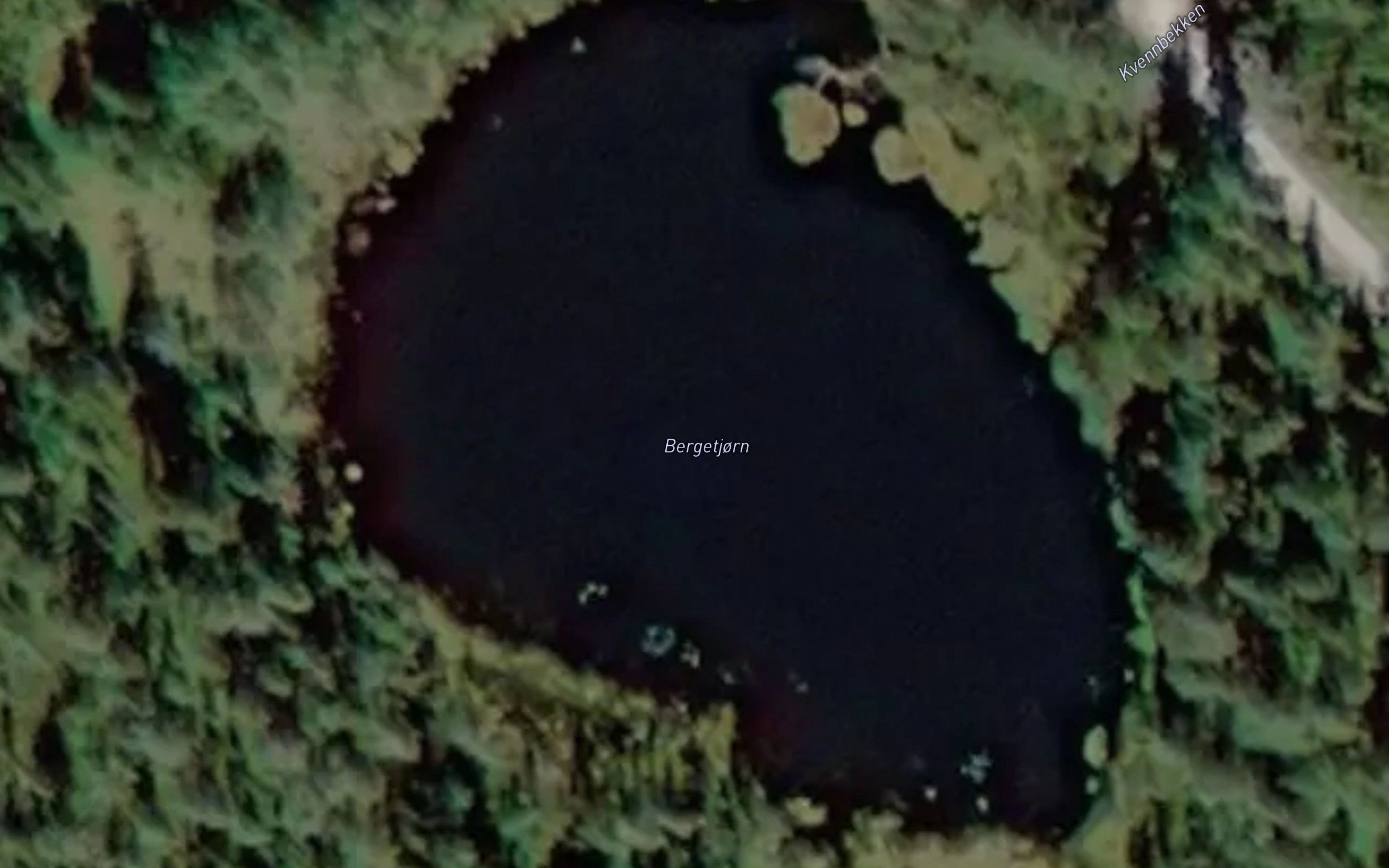Bergetjorn