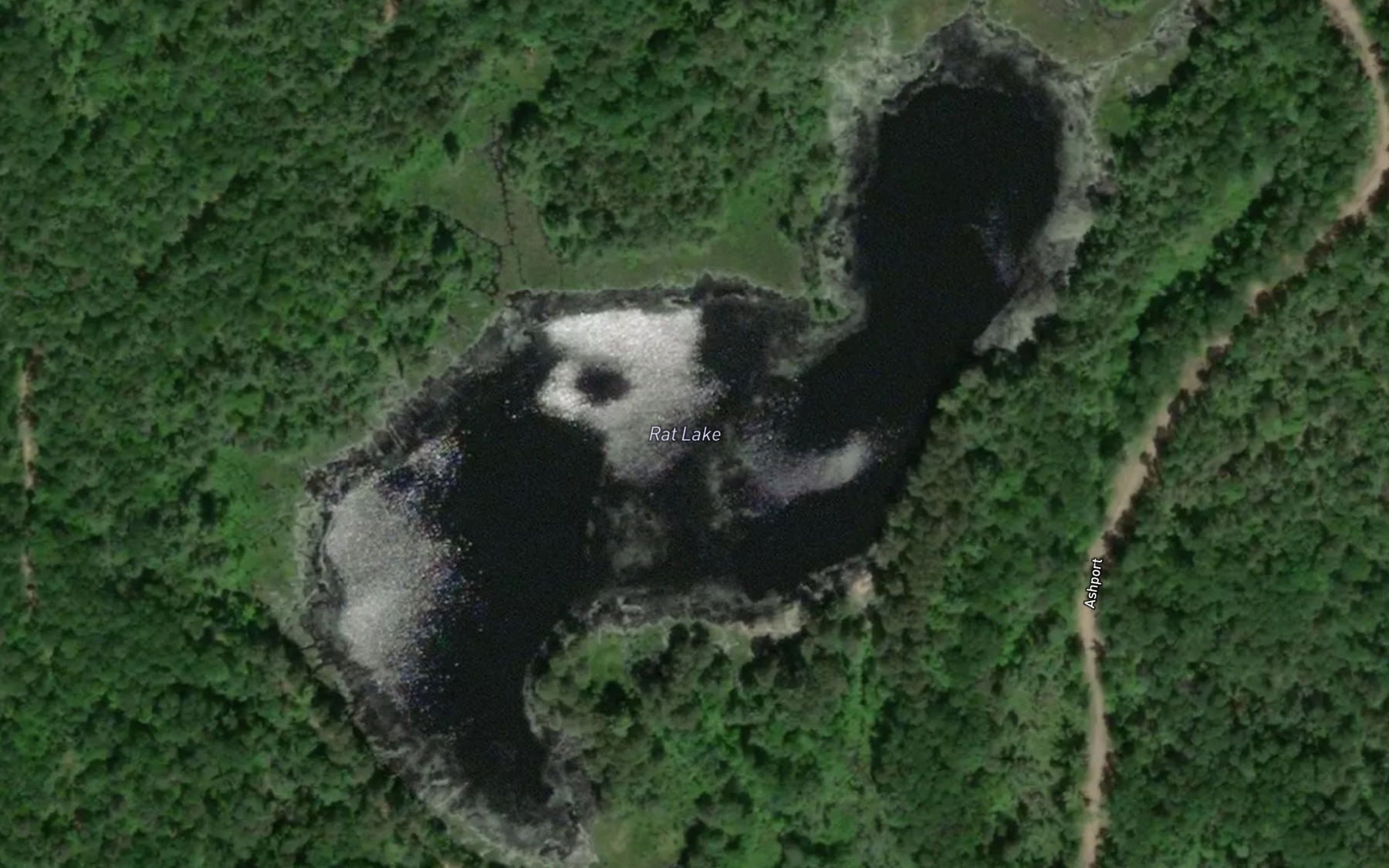 Satellite map of the Rat Lake