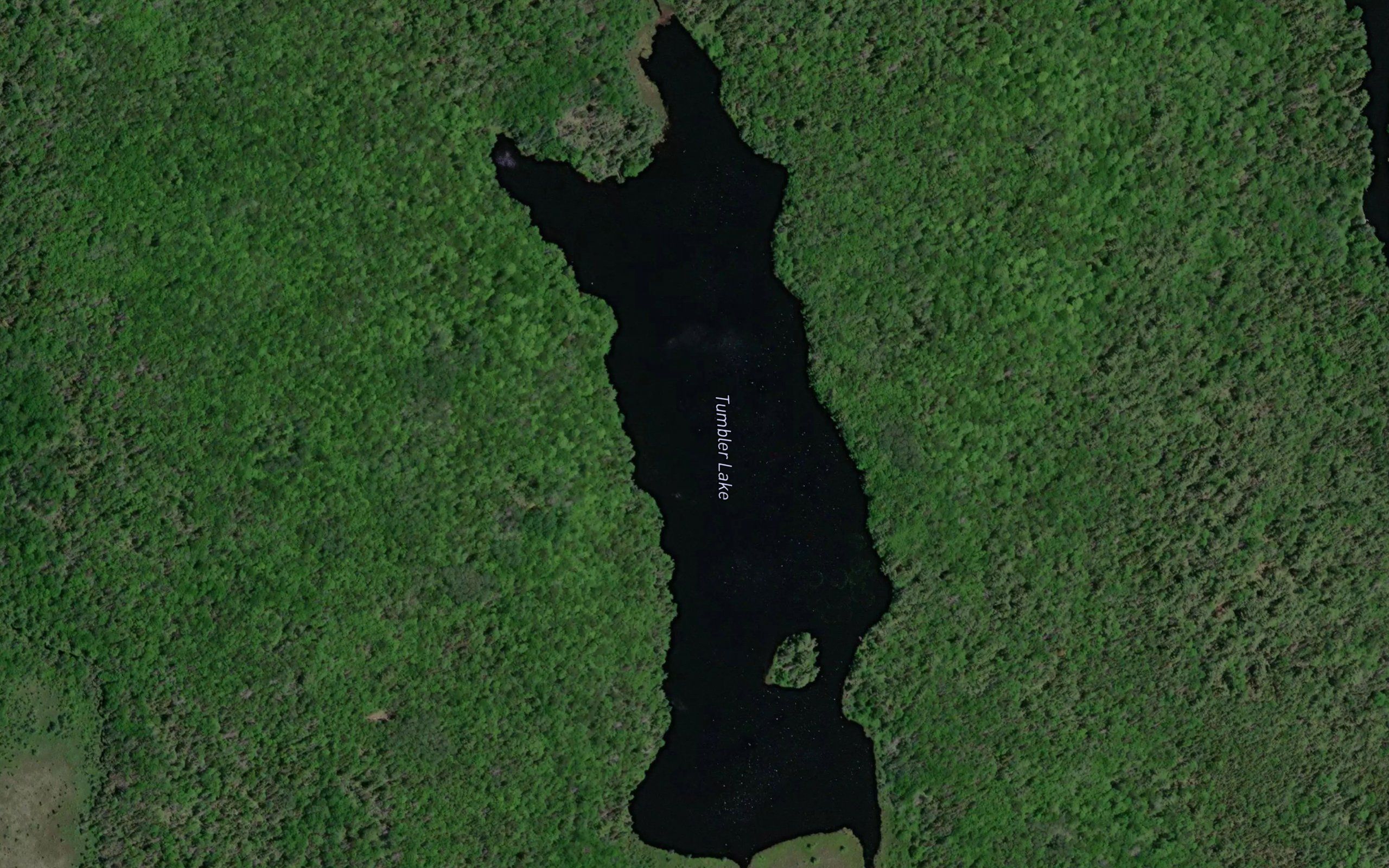 Tumbler Lake