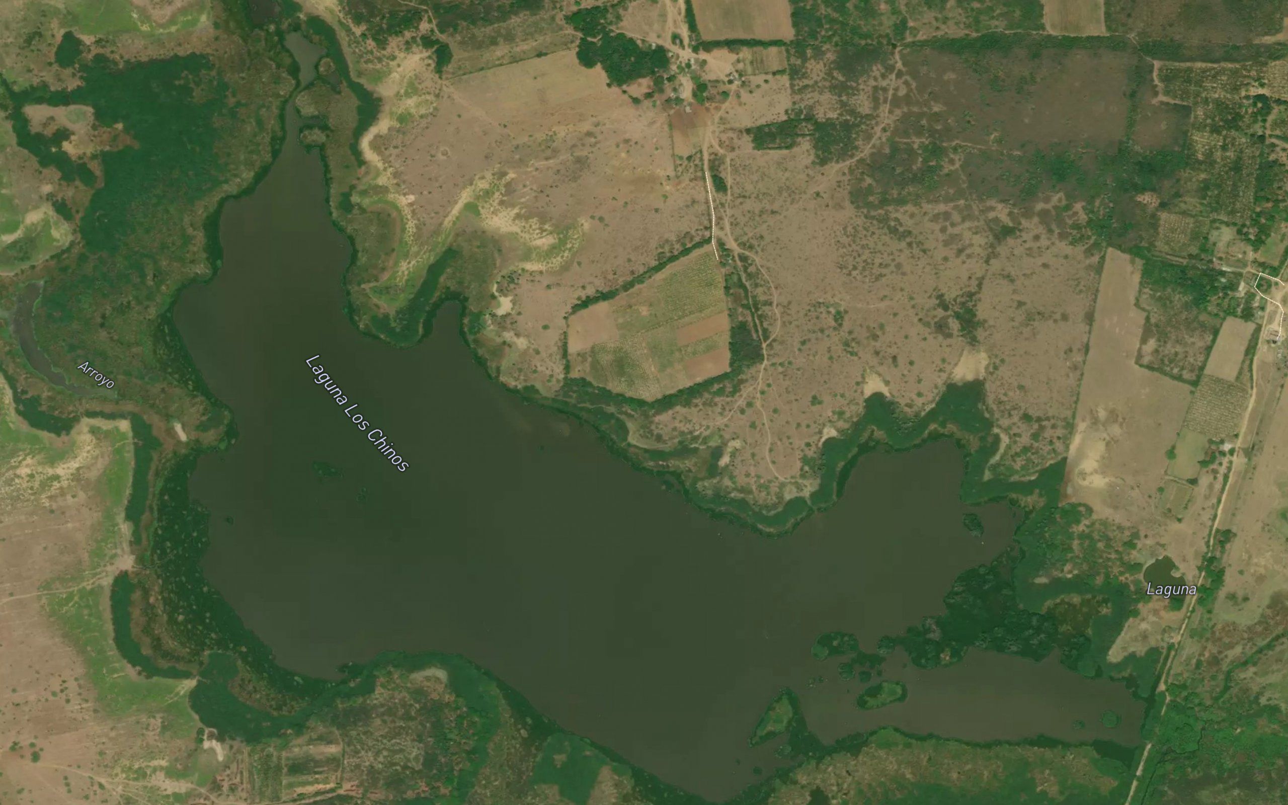 Laguna Los Chinos