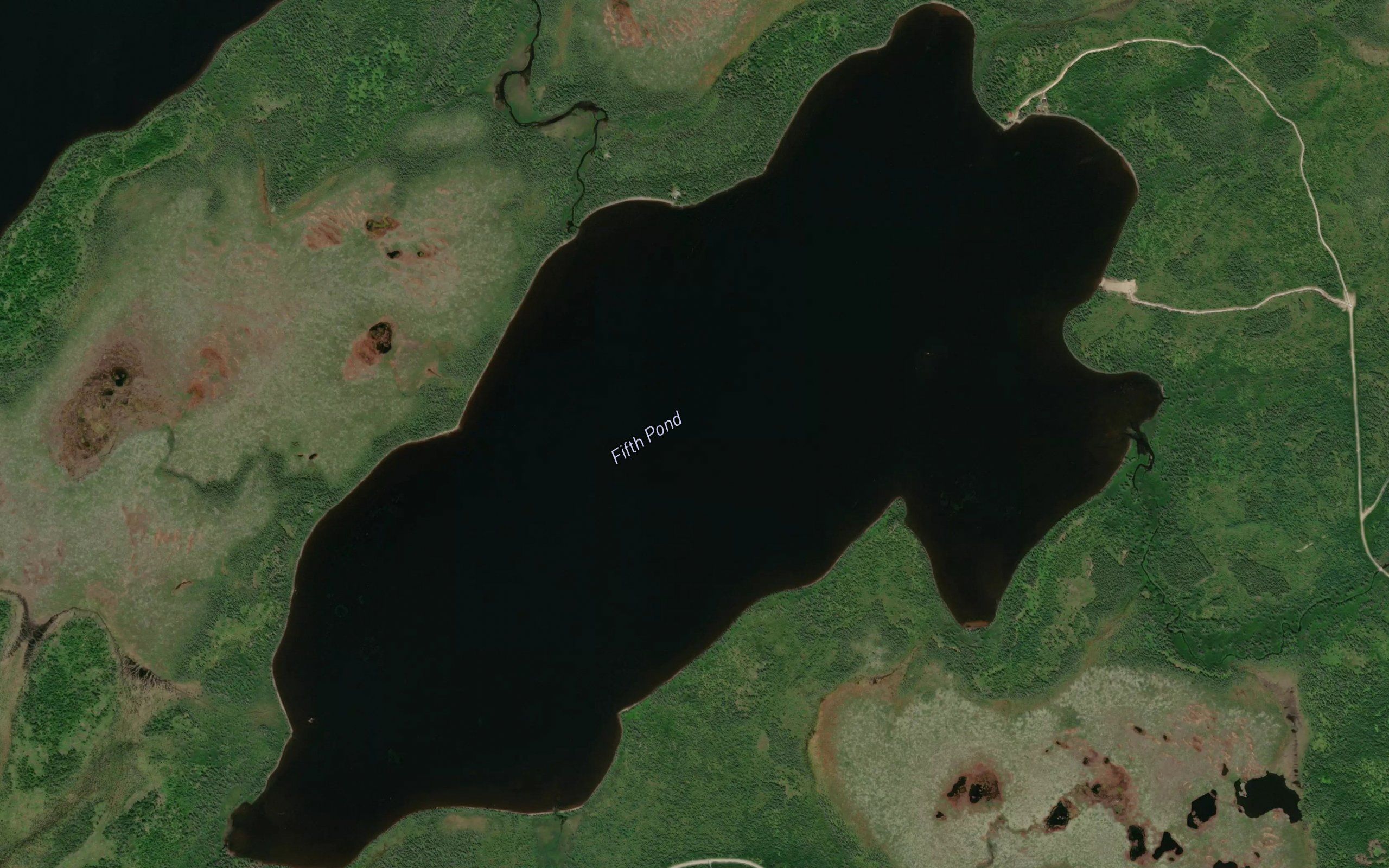 Fifth Pond
