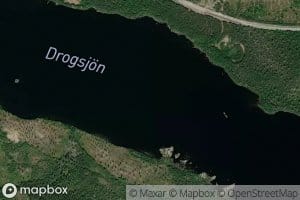 Drogsjoen