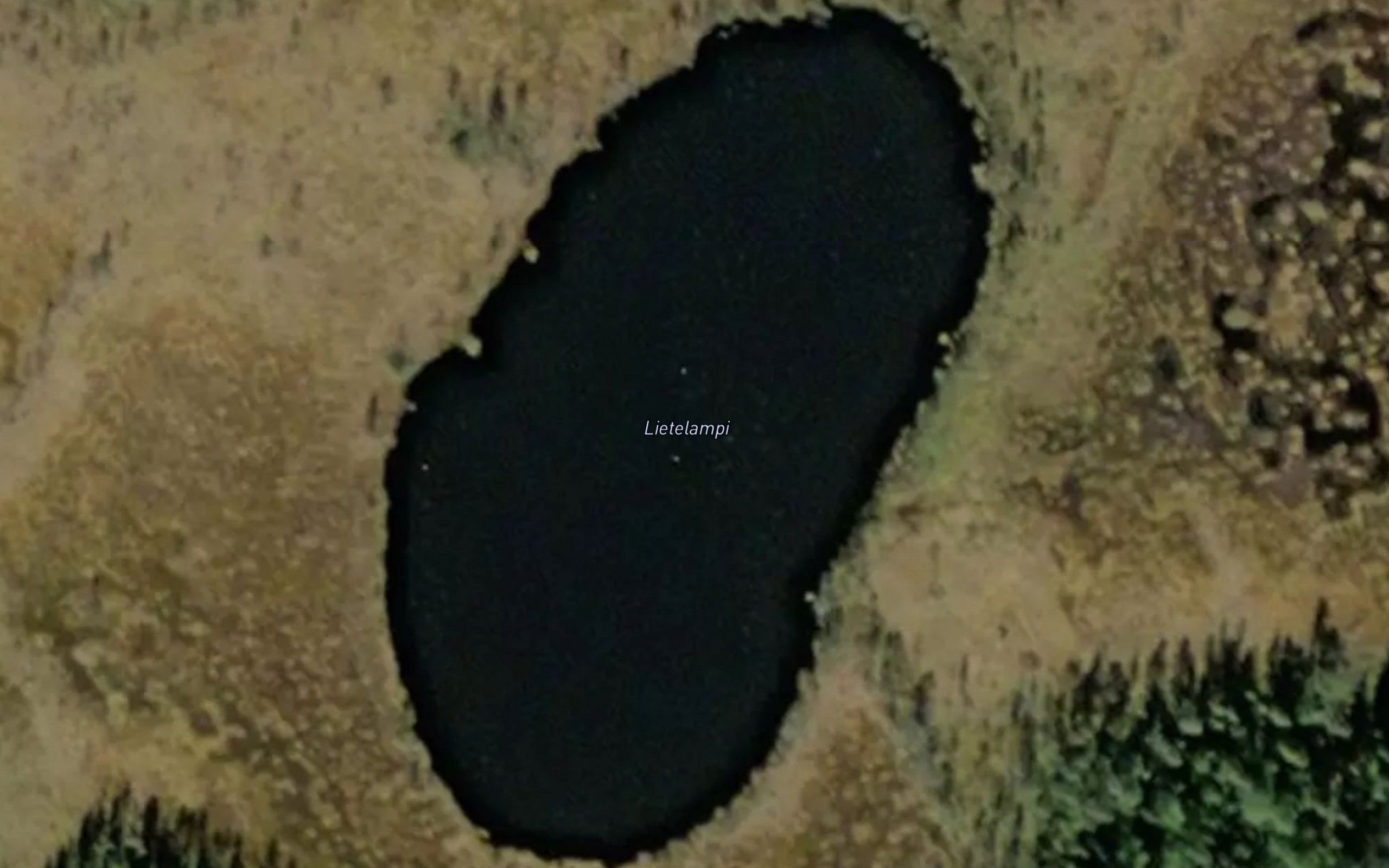 Lietelampi