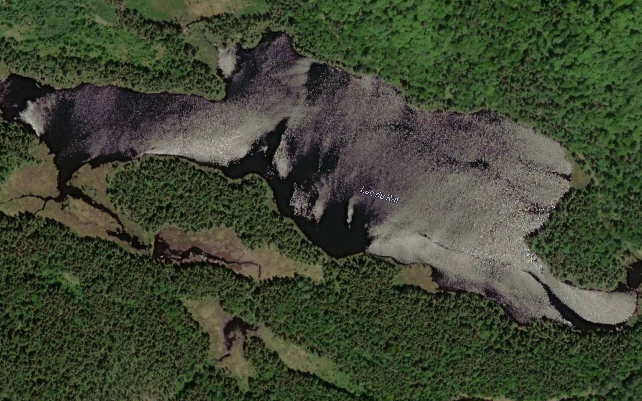 Lac du Rat