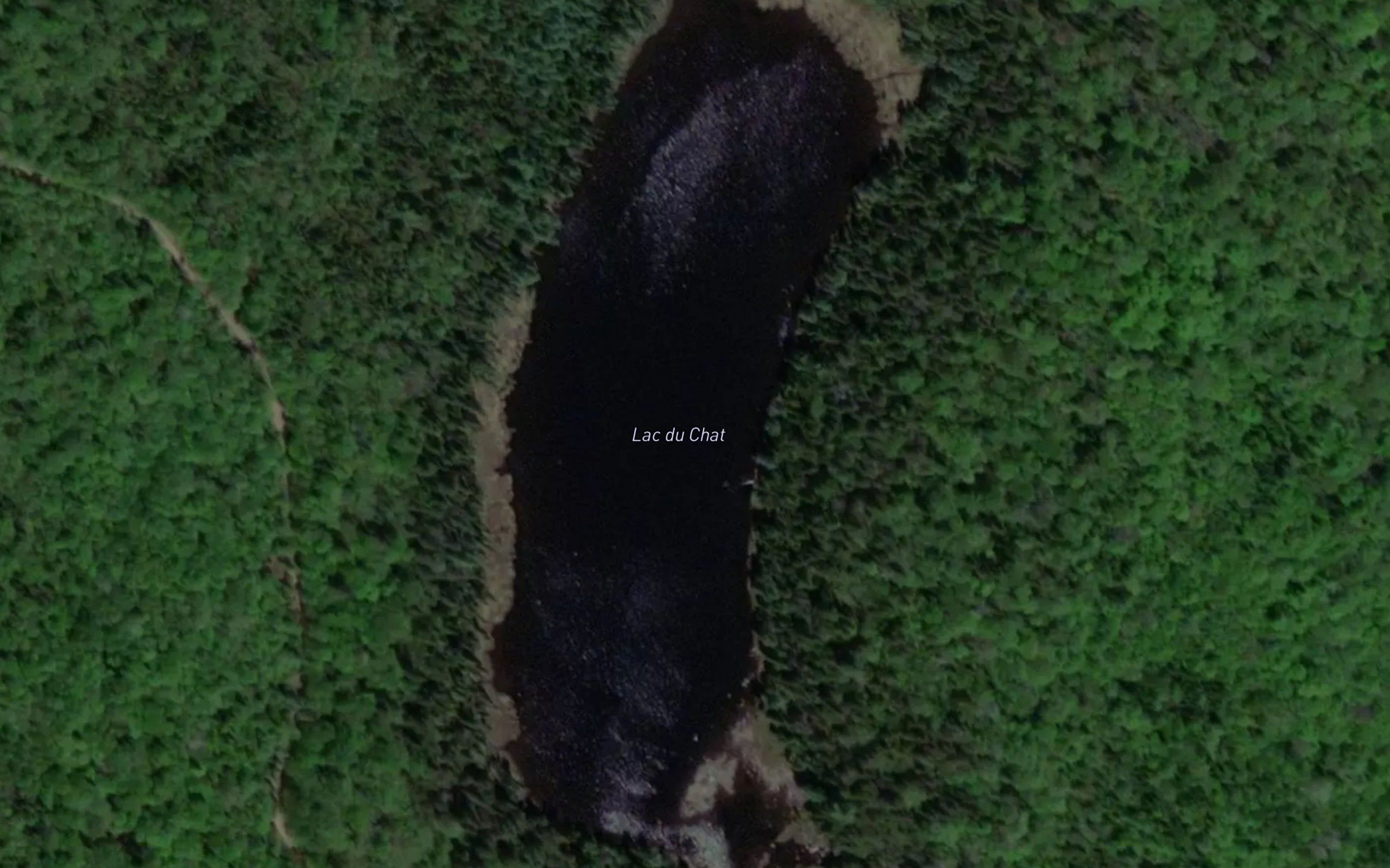 Lac du Chat
