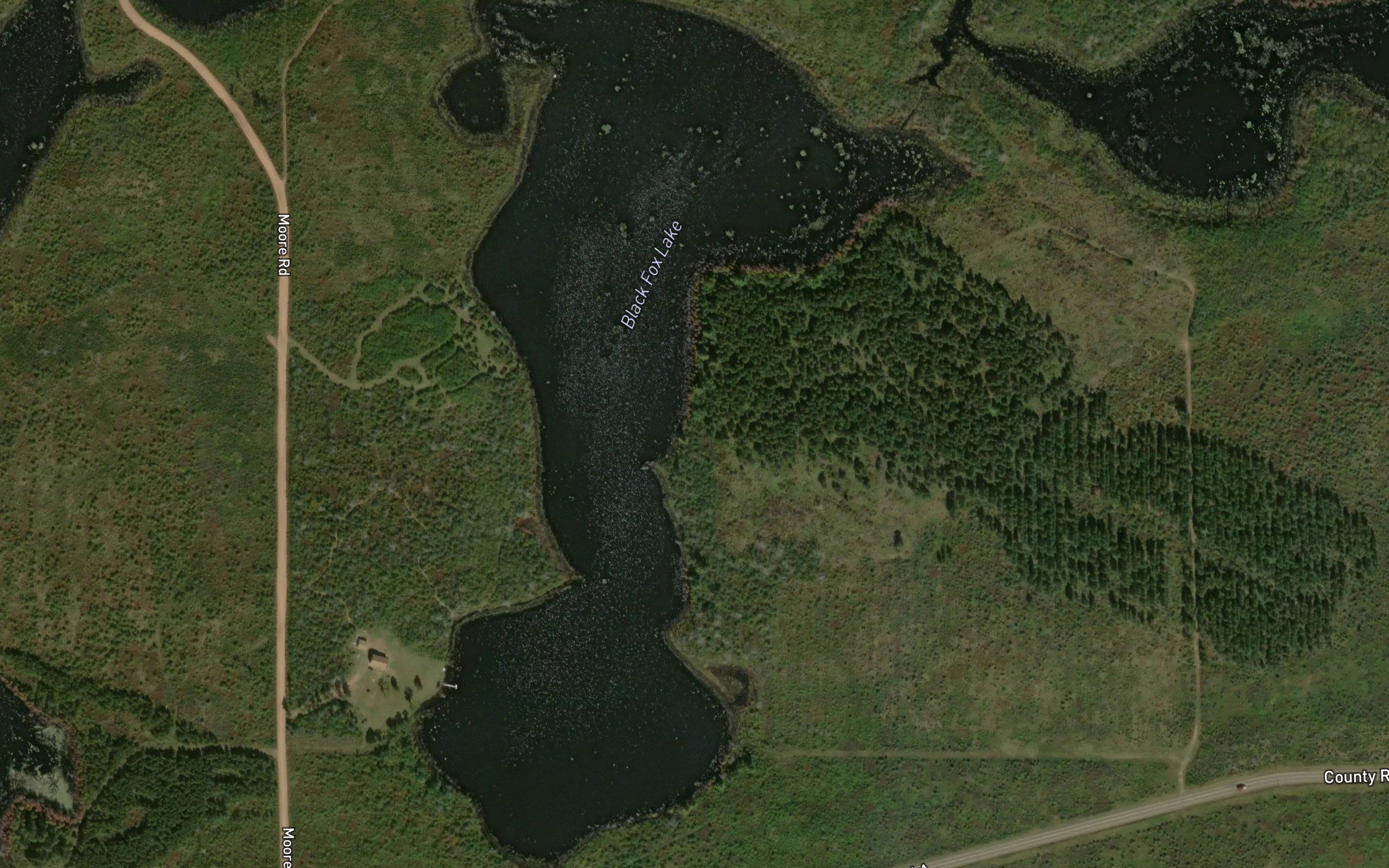 Black Fox Lake