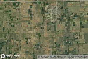 Tarpai Five Right Minor