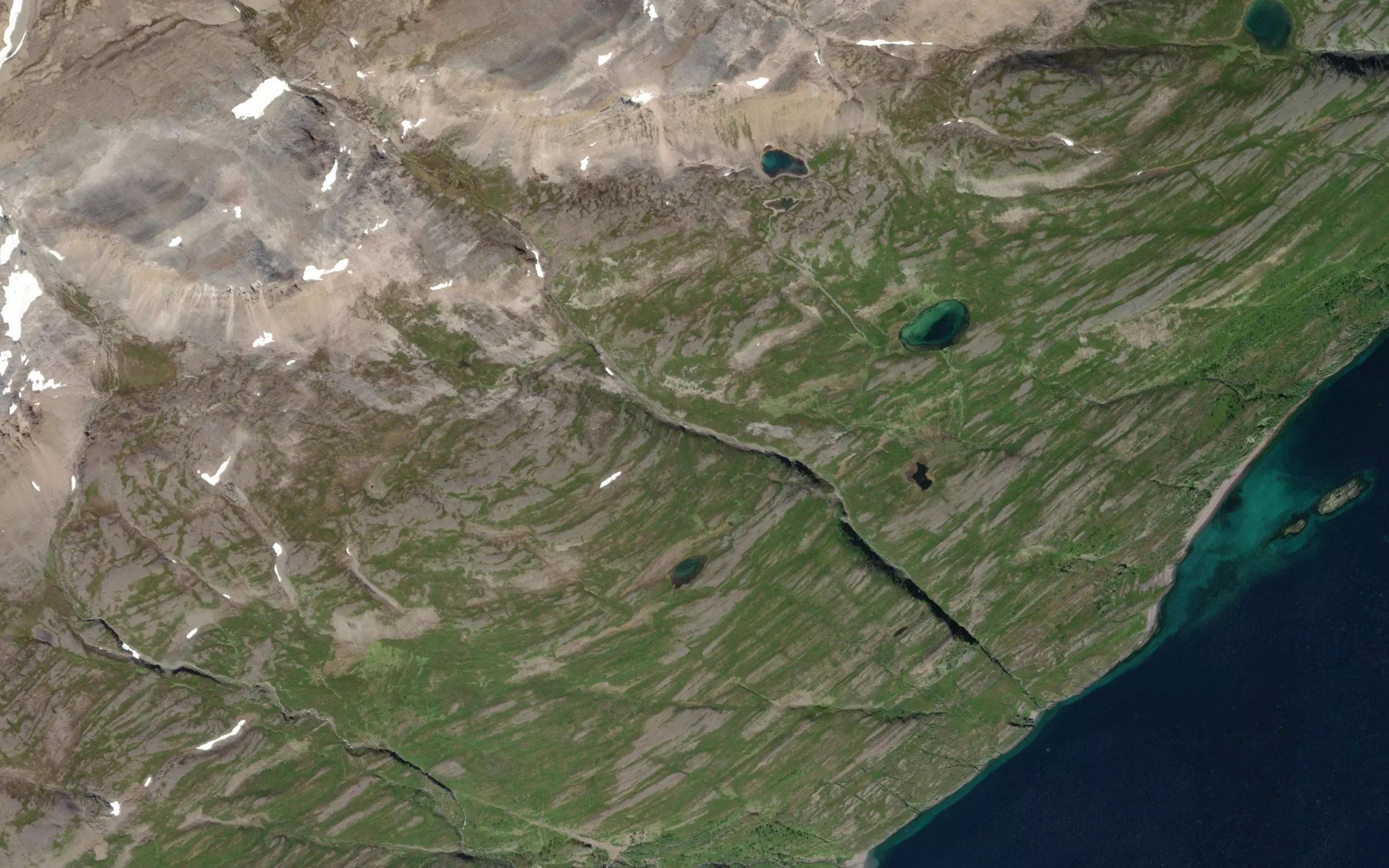Avnejakka