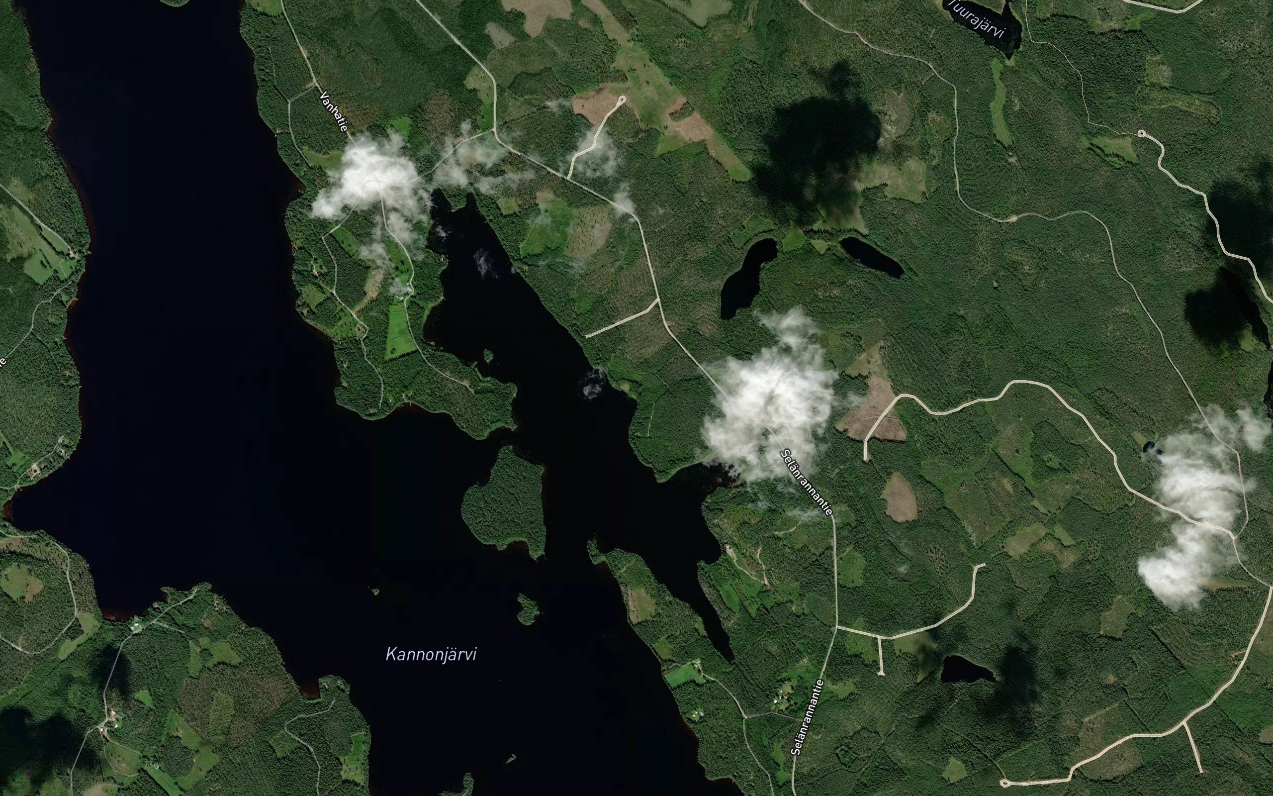 Kolisevanpuro