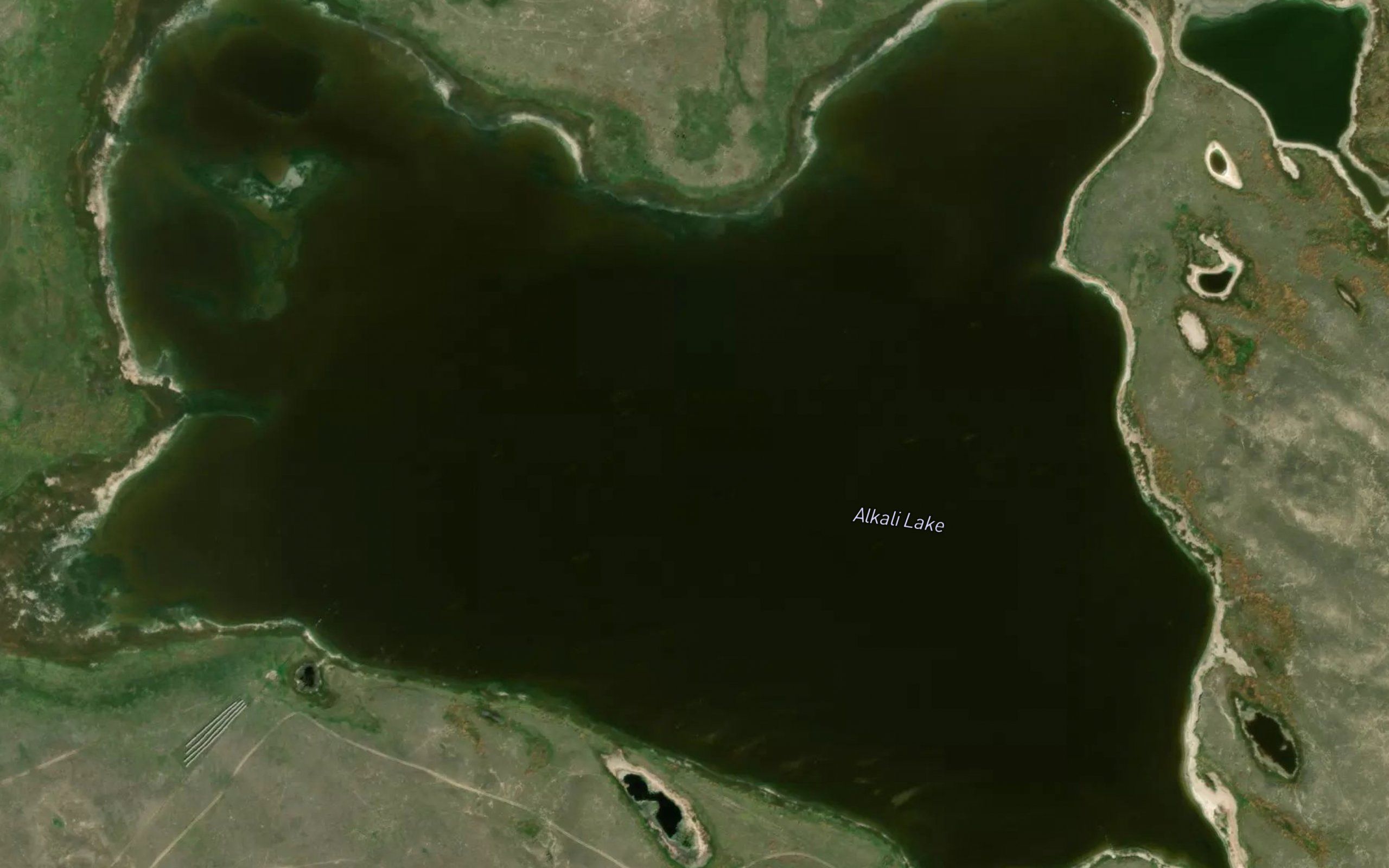 Alkali Lake