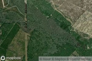 Little Ohoopee River