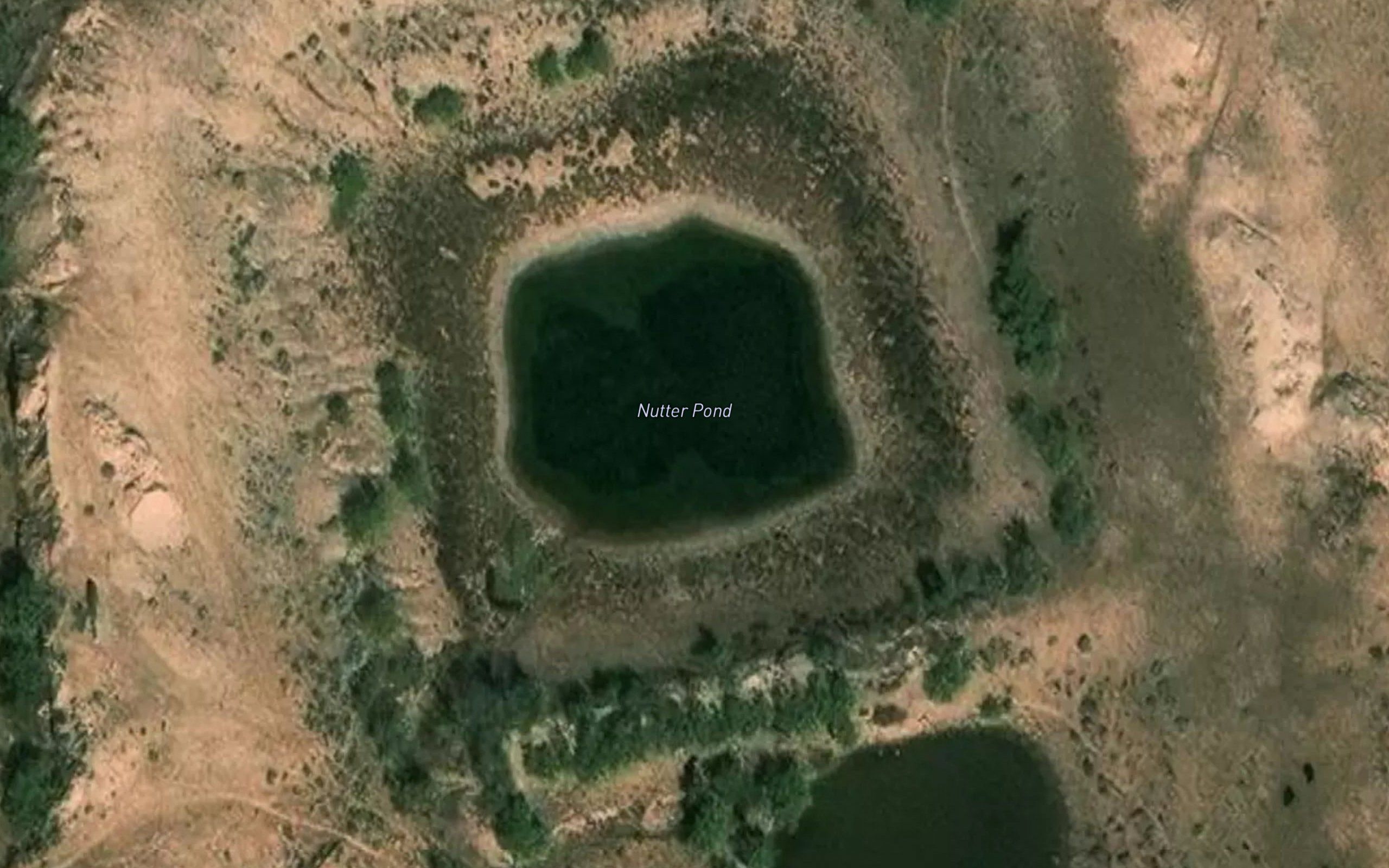 Nutter Pond
