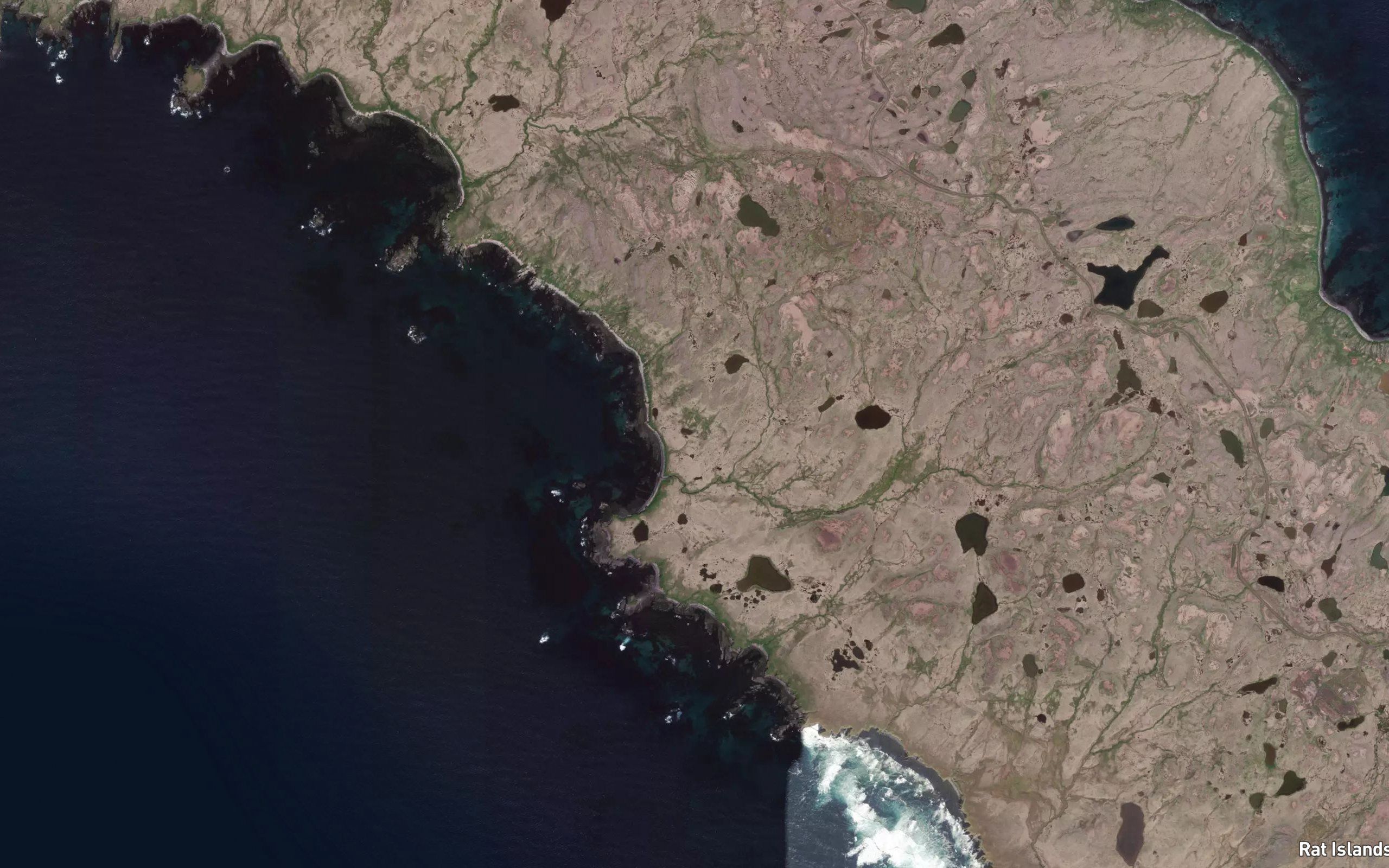 Limpet Creek