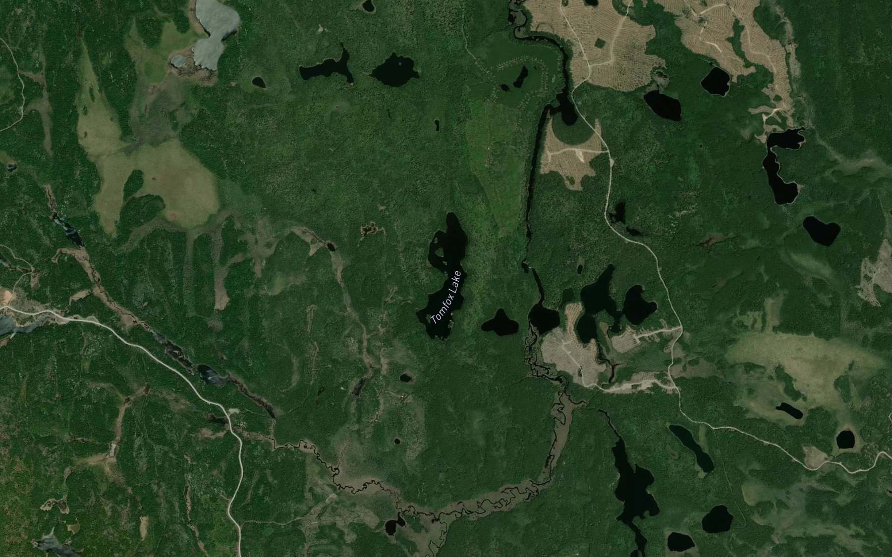 Satellite map of the Tomfox Lake