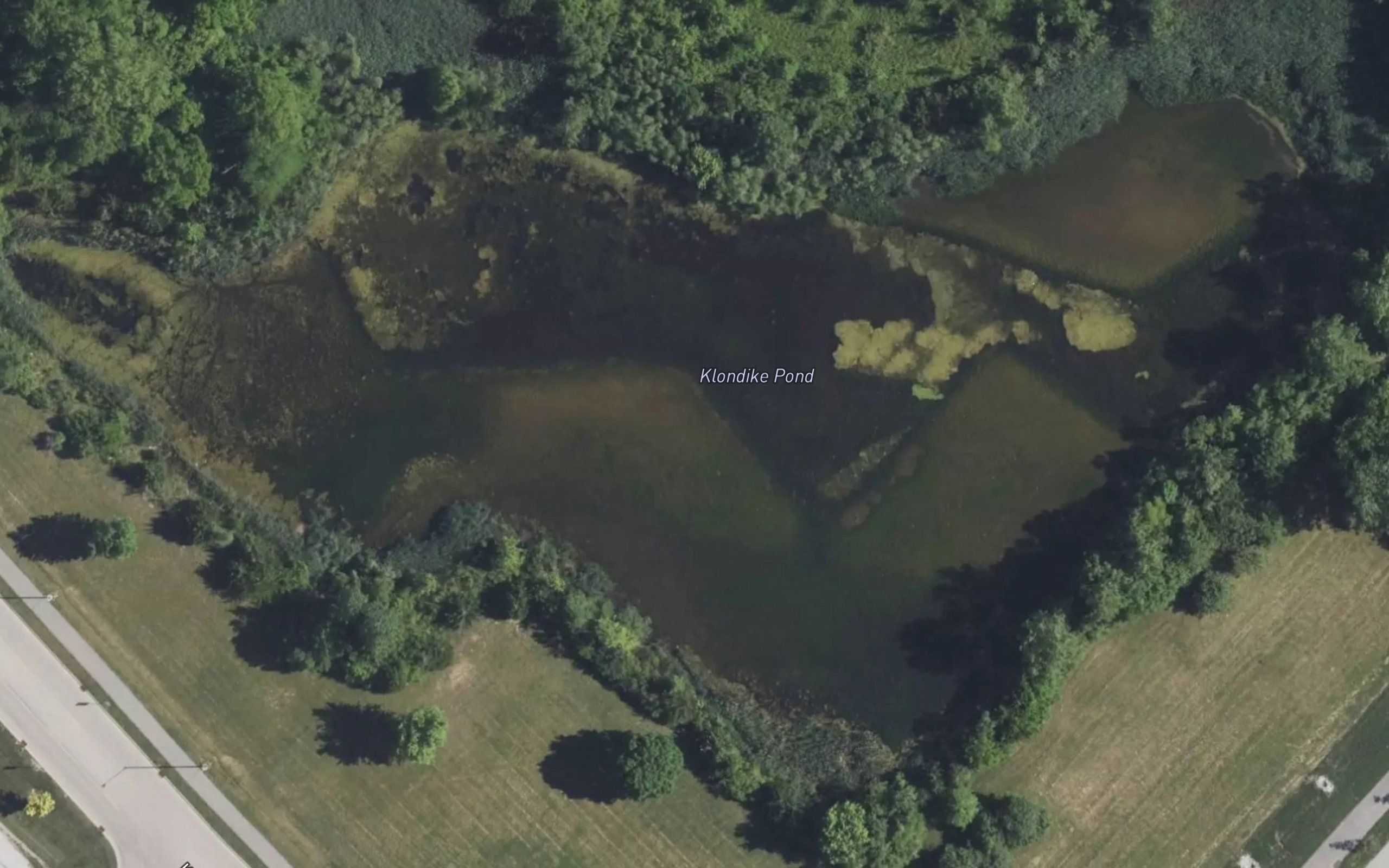 Klondike Pond