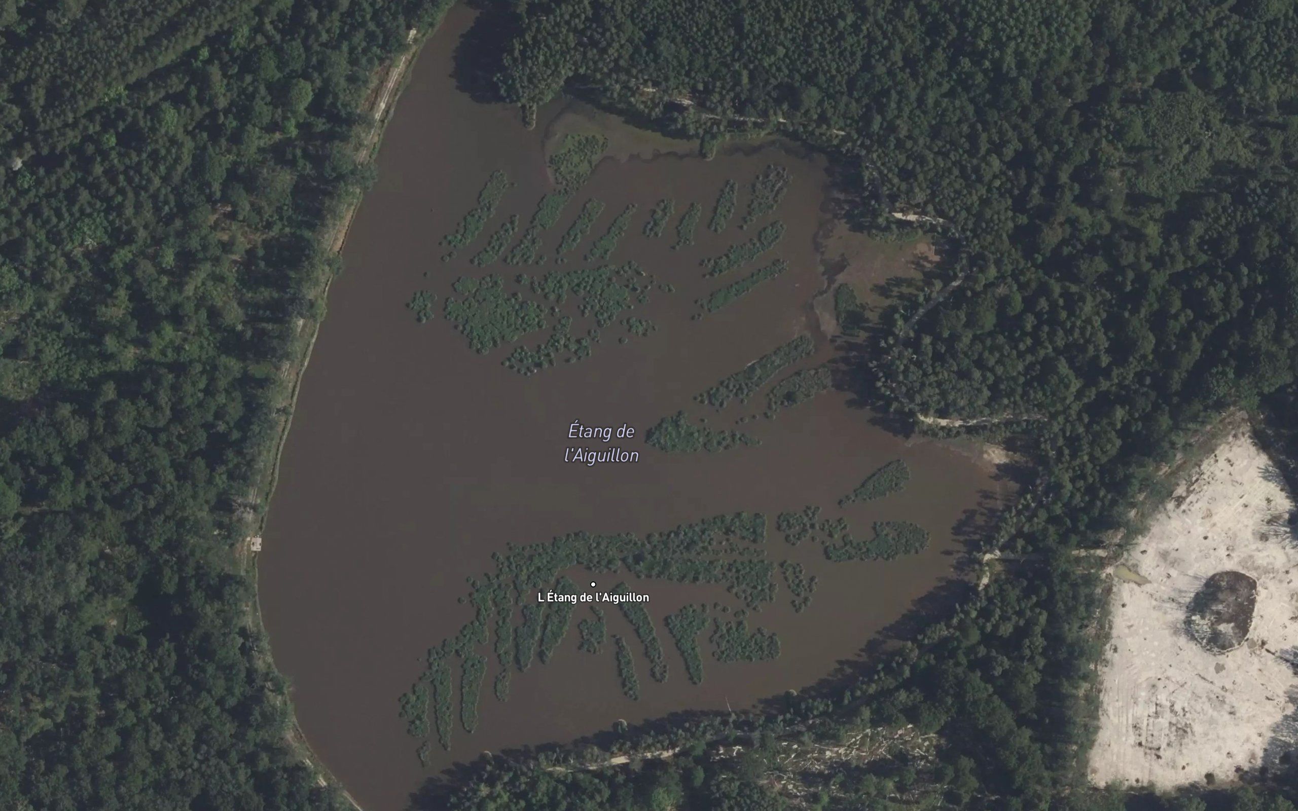 Etang de l'Aiguillon