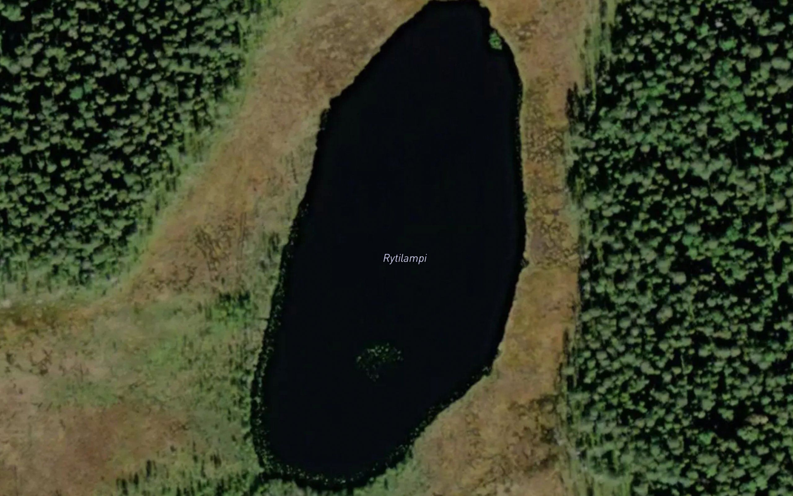 Rytilampi