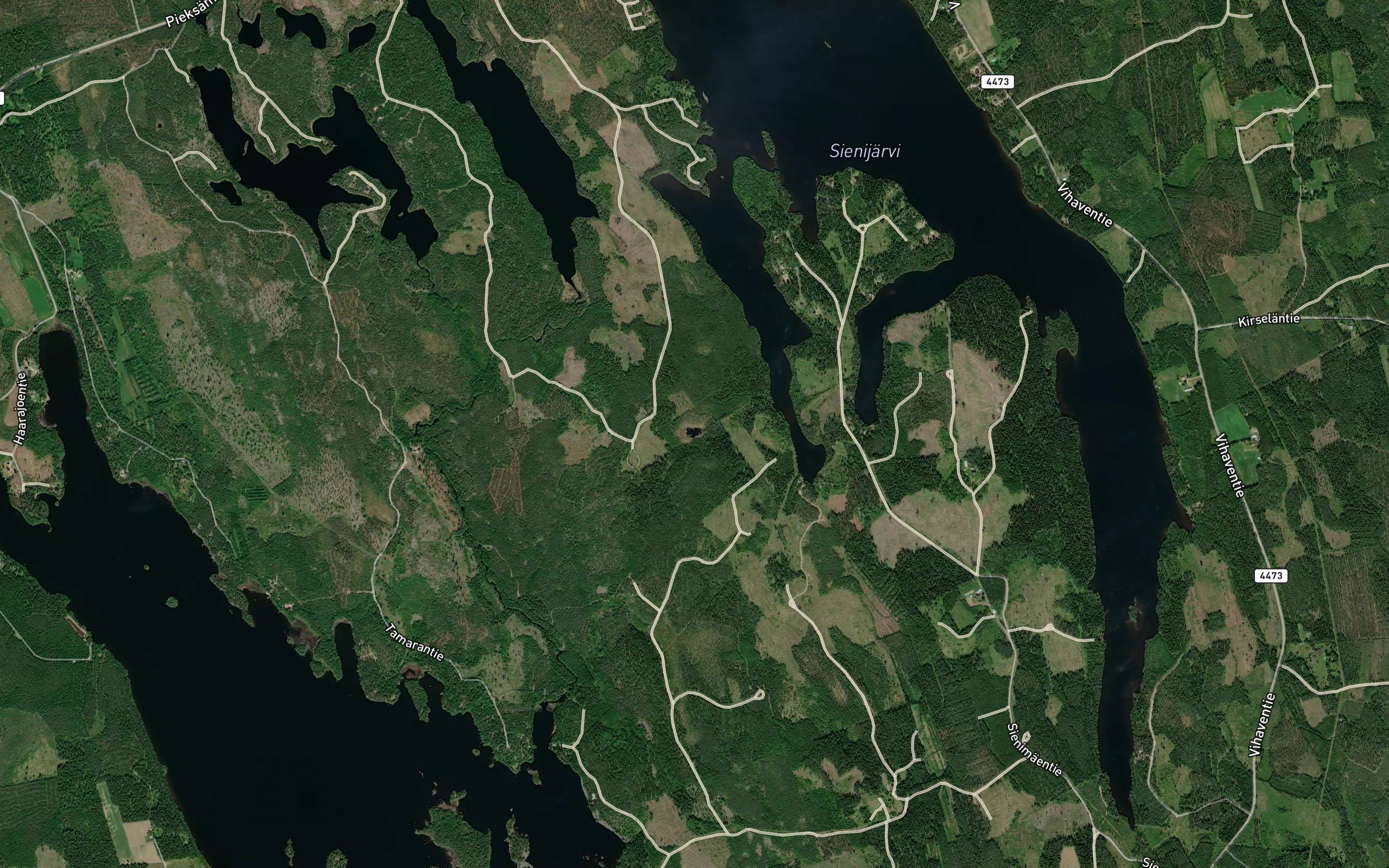 Vasikkalampi
