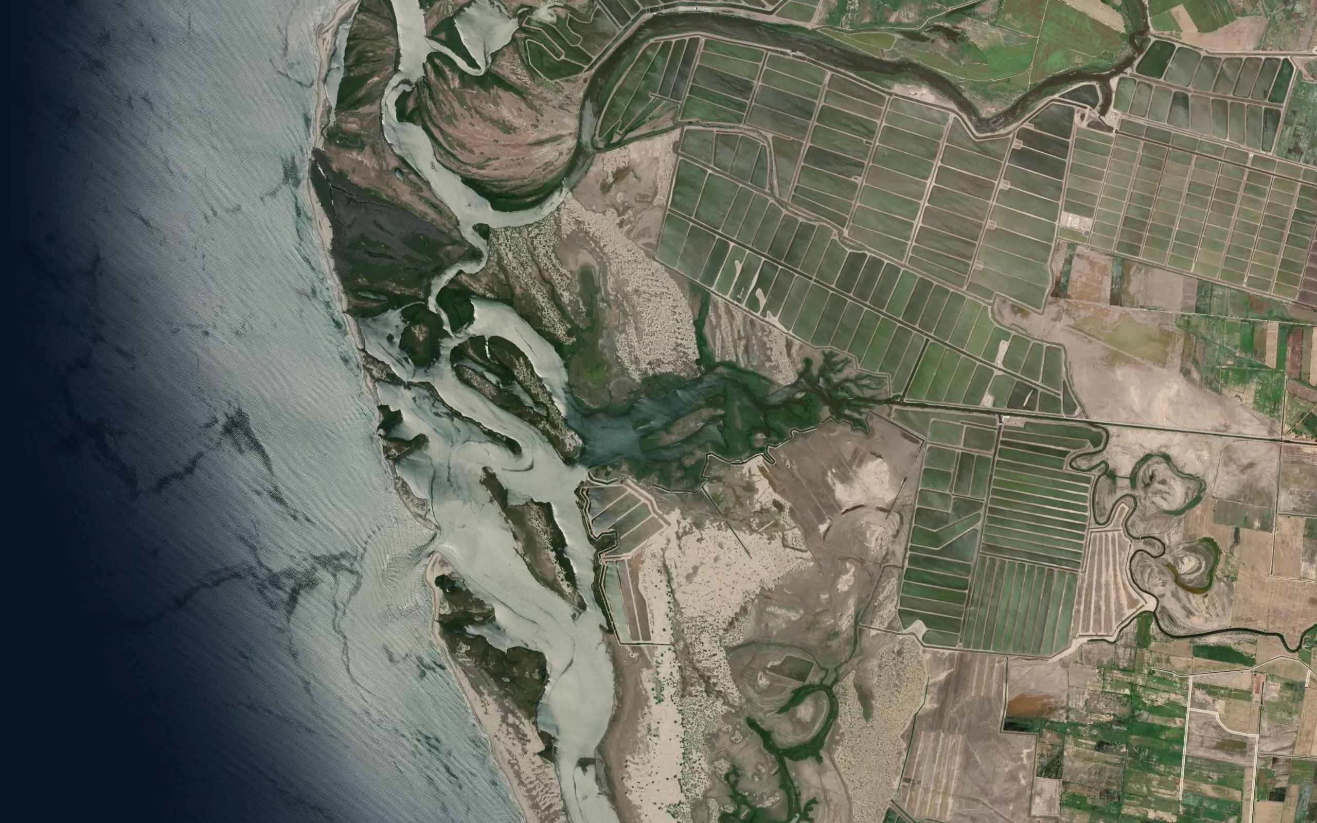 Estero el Tiburon