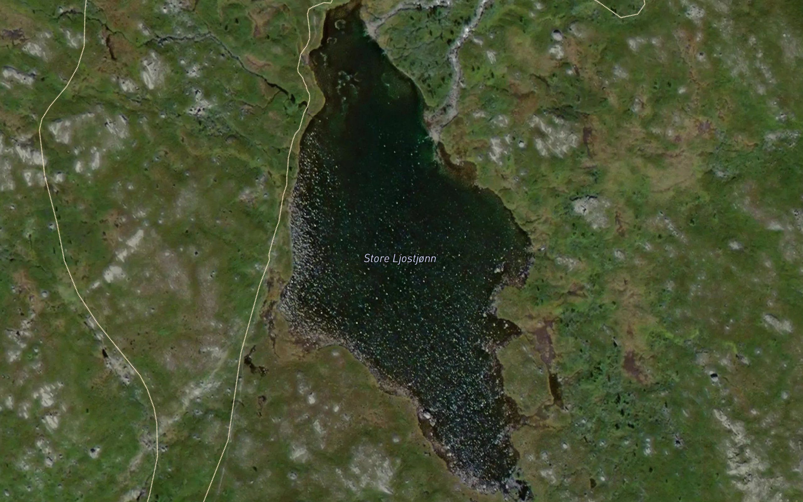 Ljostjorn,store
