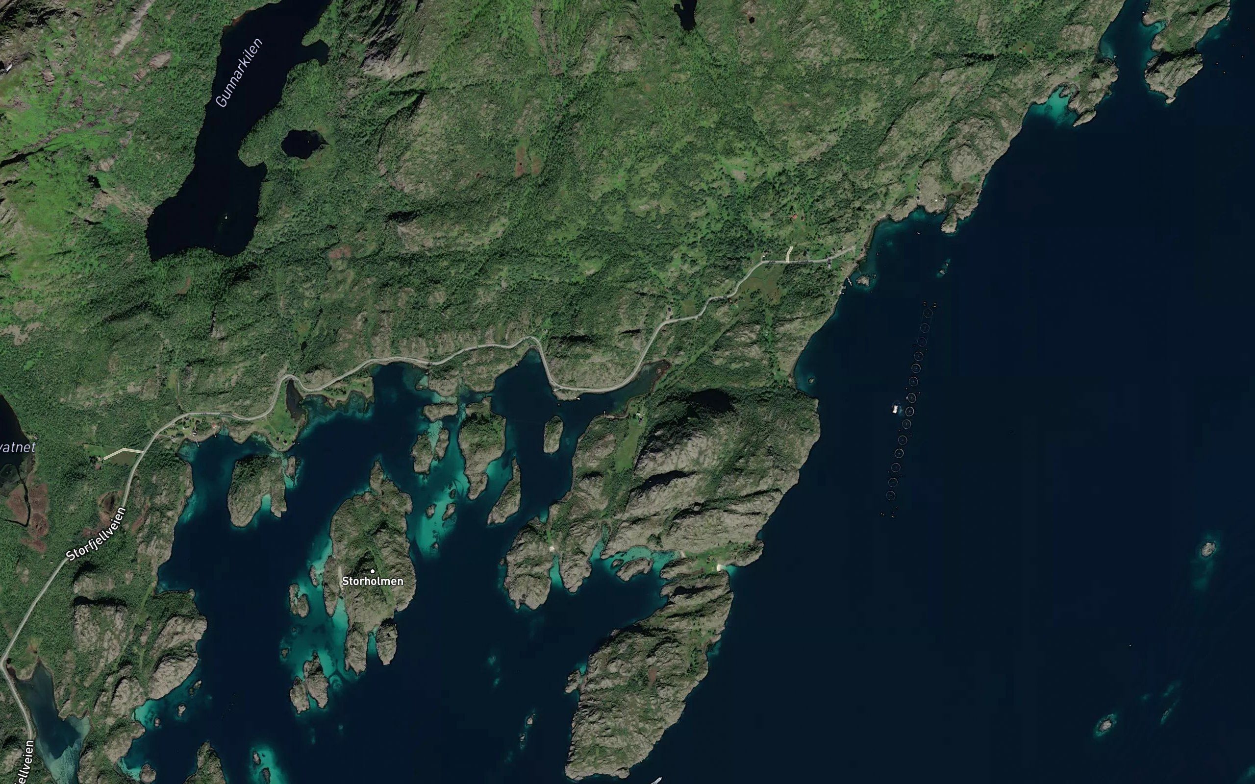 Juvika