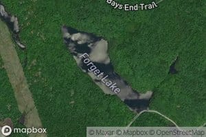 Forget Lake