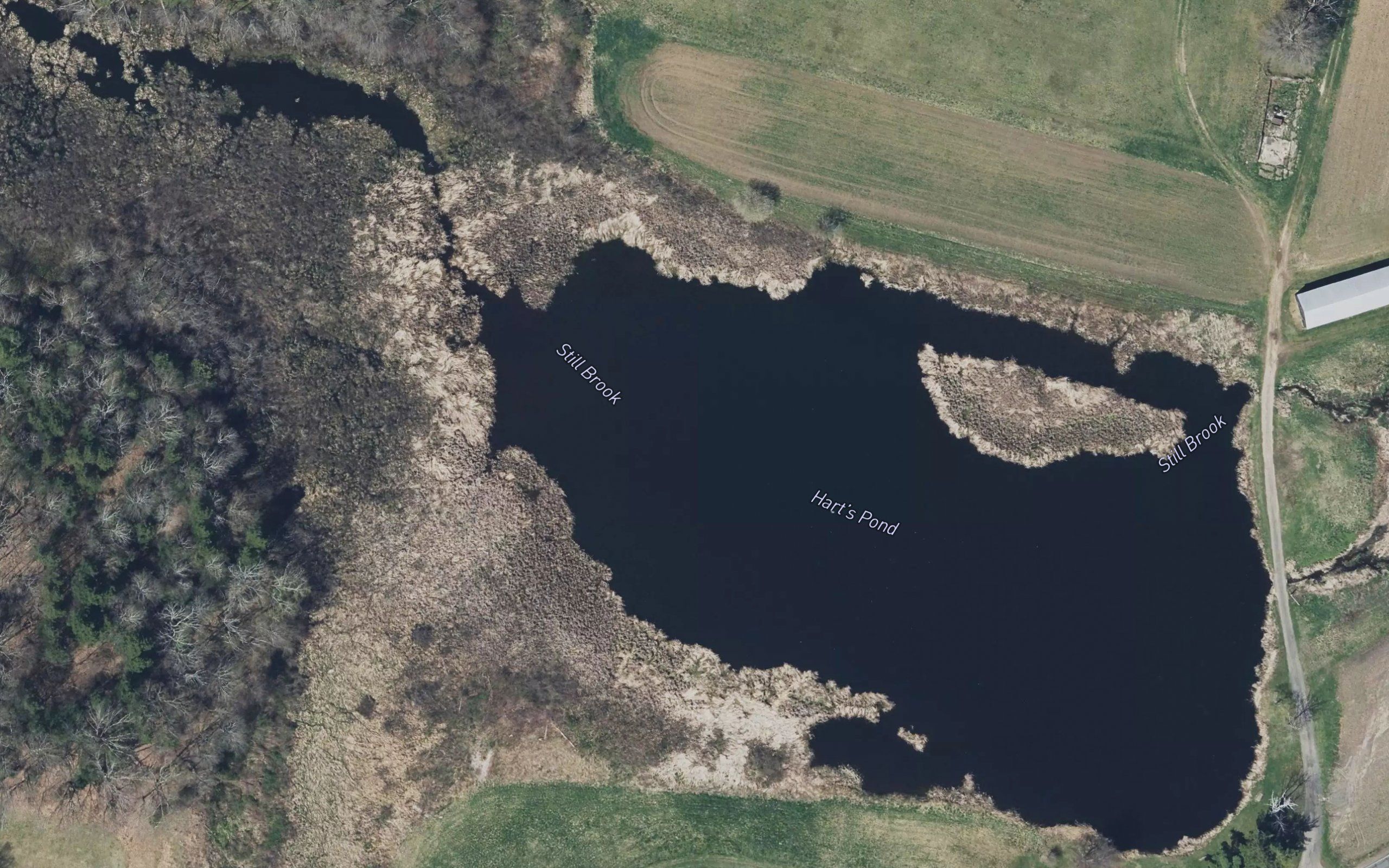 Harts Pond