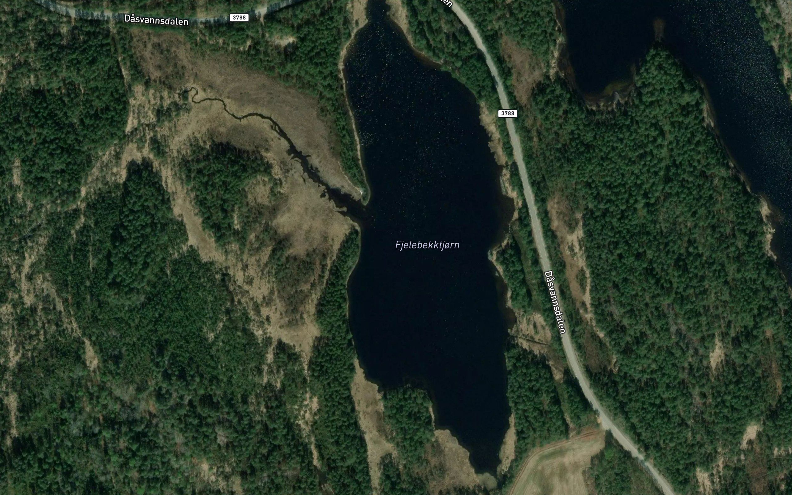 Fjelebekktjorn
