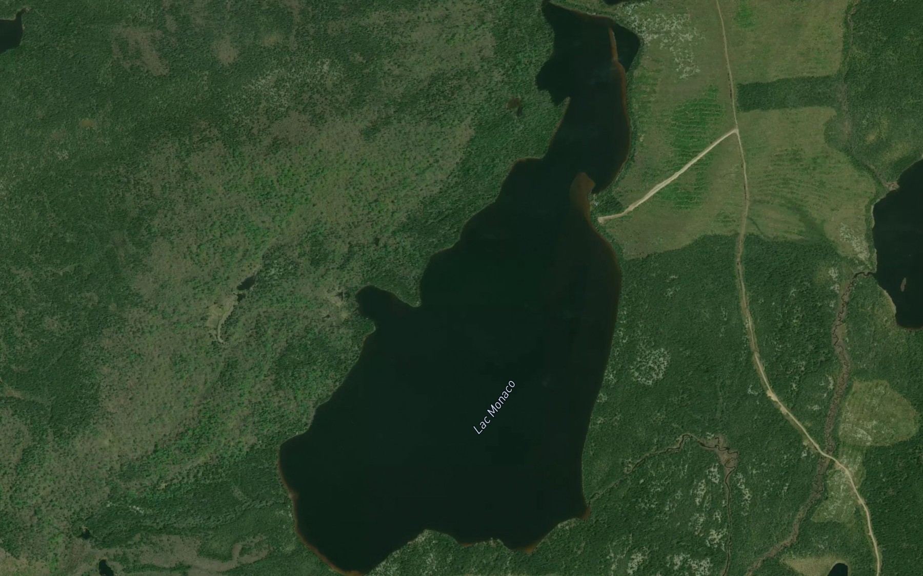 Satellite map of the Lac Monaco