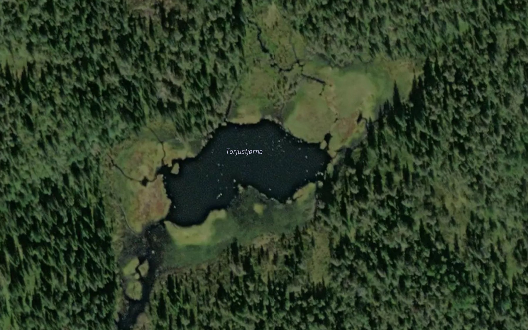 Satellite map of the Torjustjorna