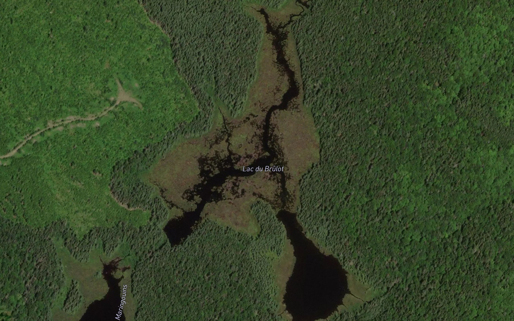 Satellite map of the Lac du Brulot