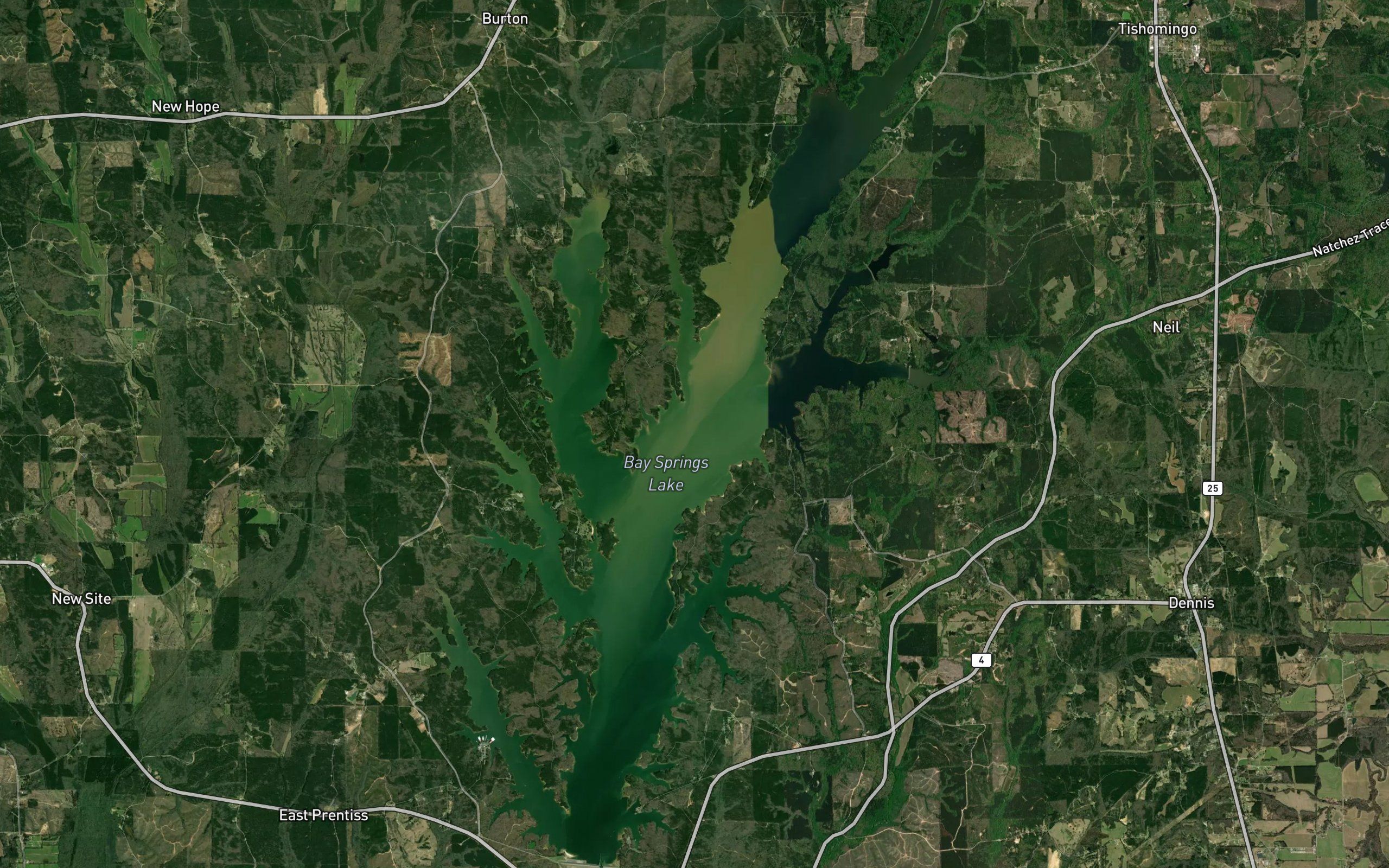 Bay Springs Lake