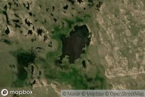Lizard Lake
