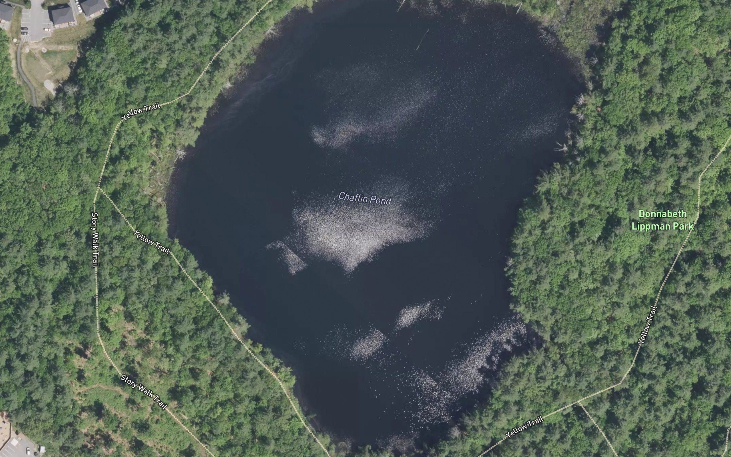 Chaffin Pond