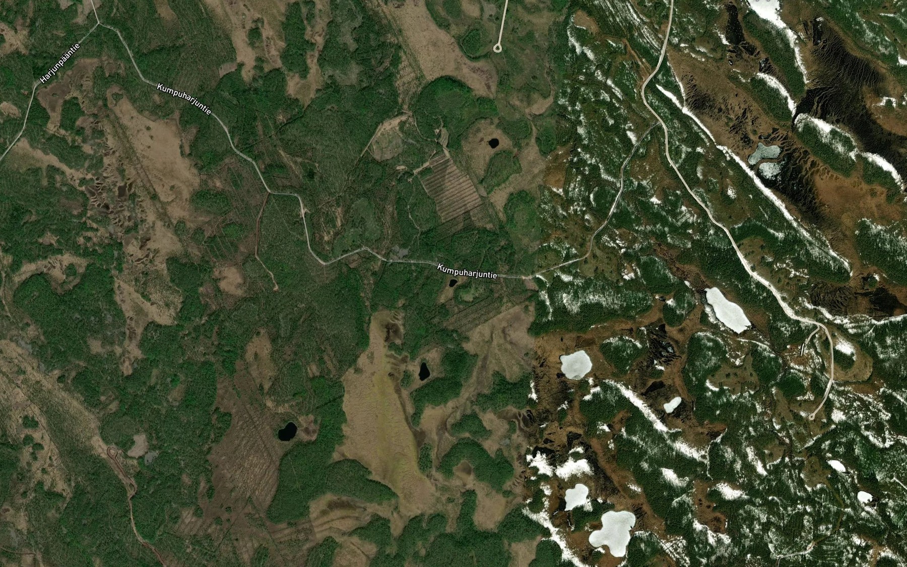 Satellite map of the Sammakkolampi
