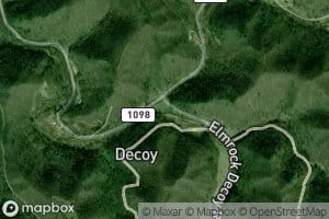 Laurel Fork Quicksand Creek