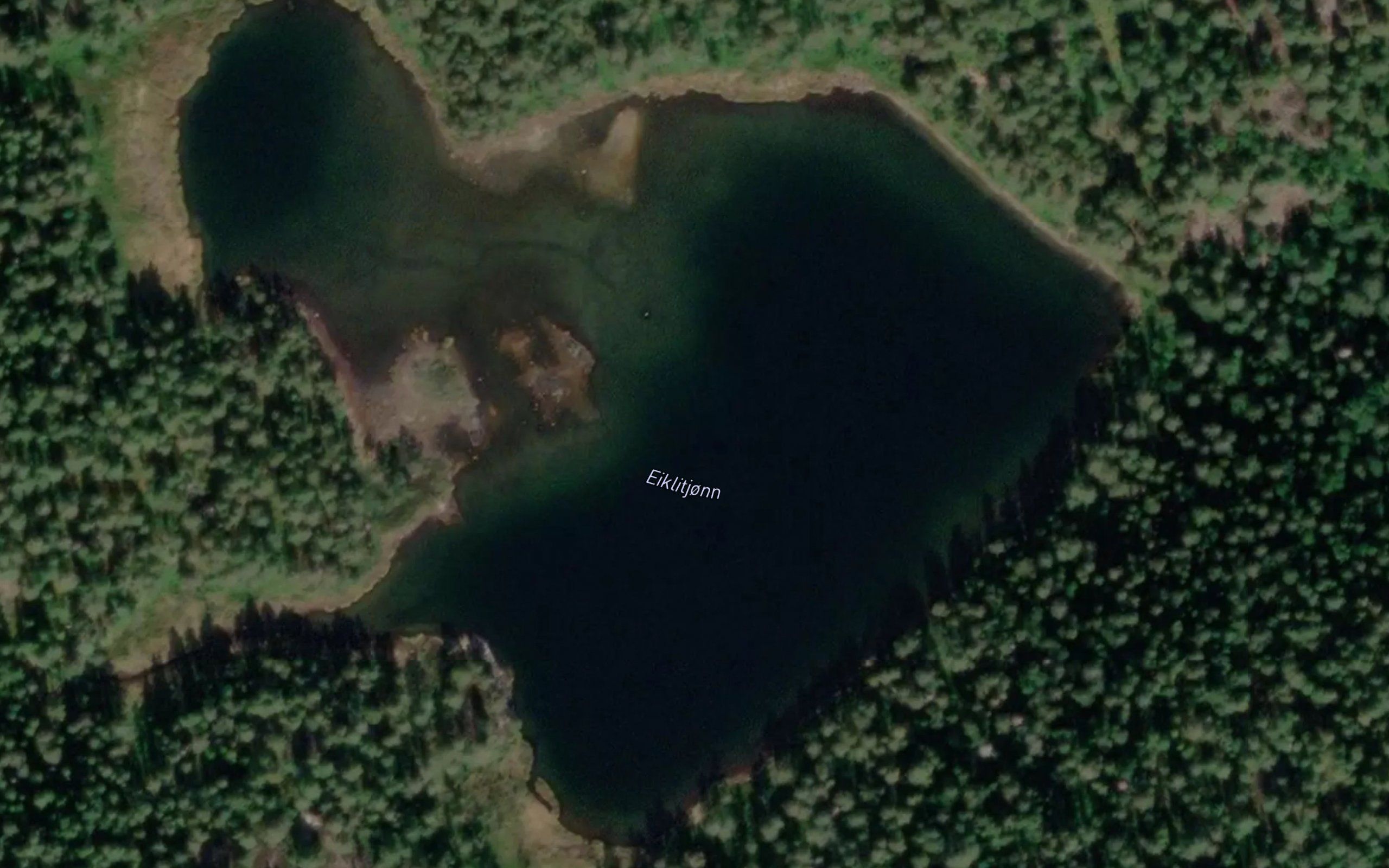 Eiklitjorn