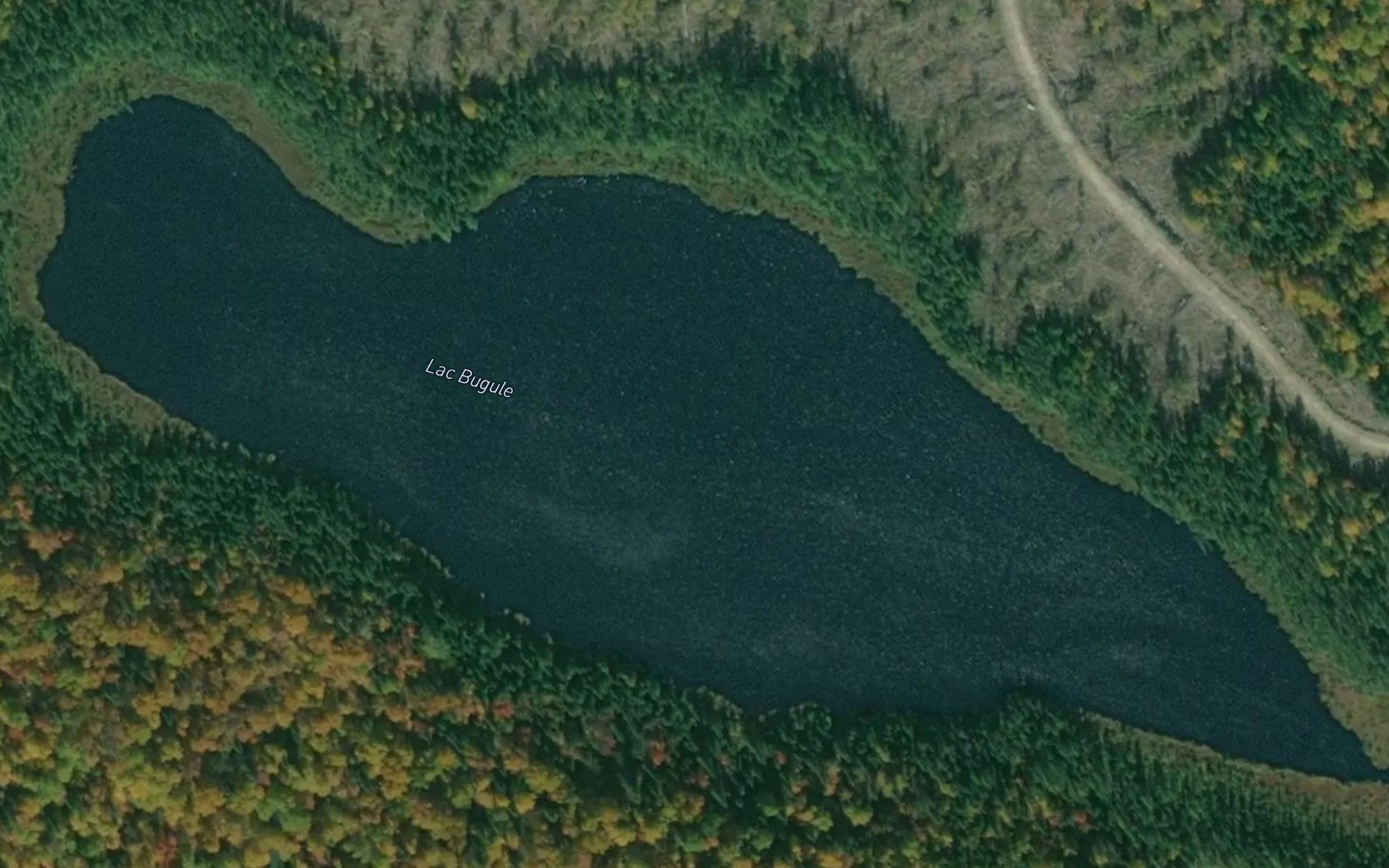 Satellite map of the Lac Bugule