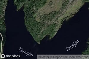 Tanesjon