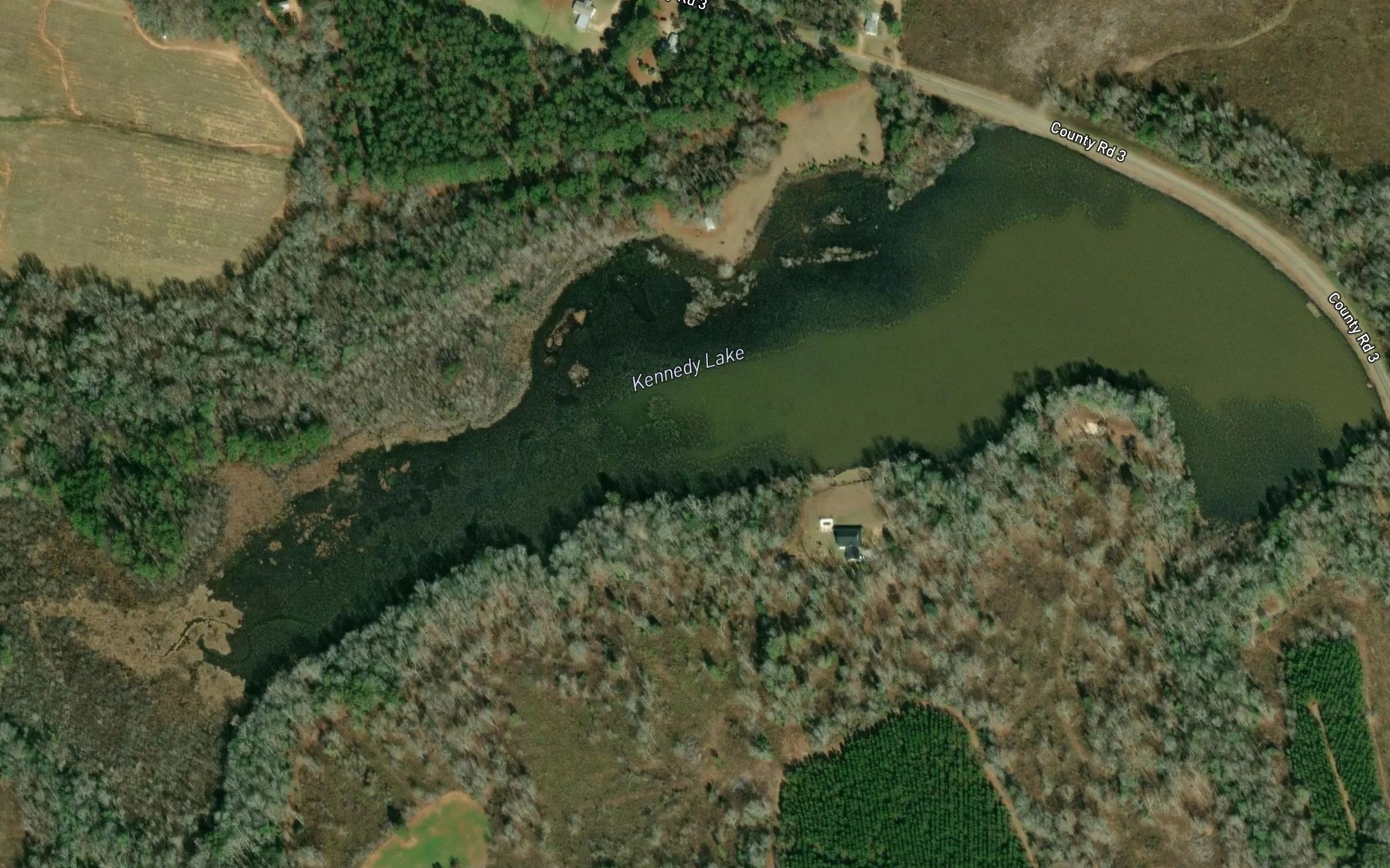 Satellite map of the Kennedy Lake