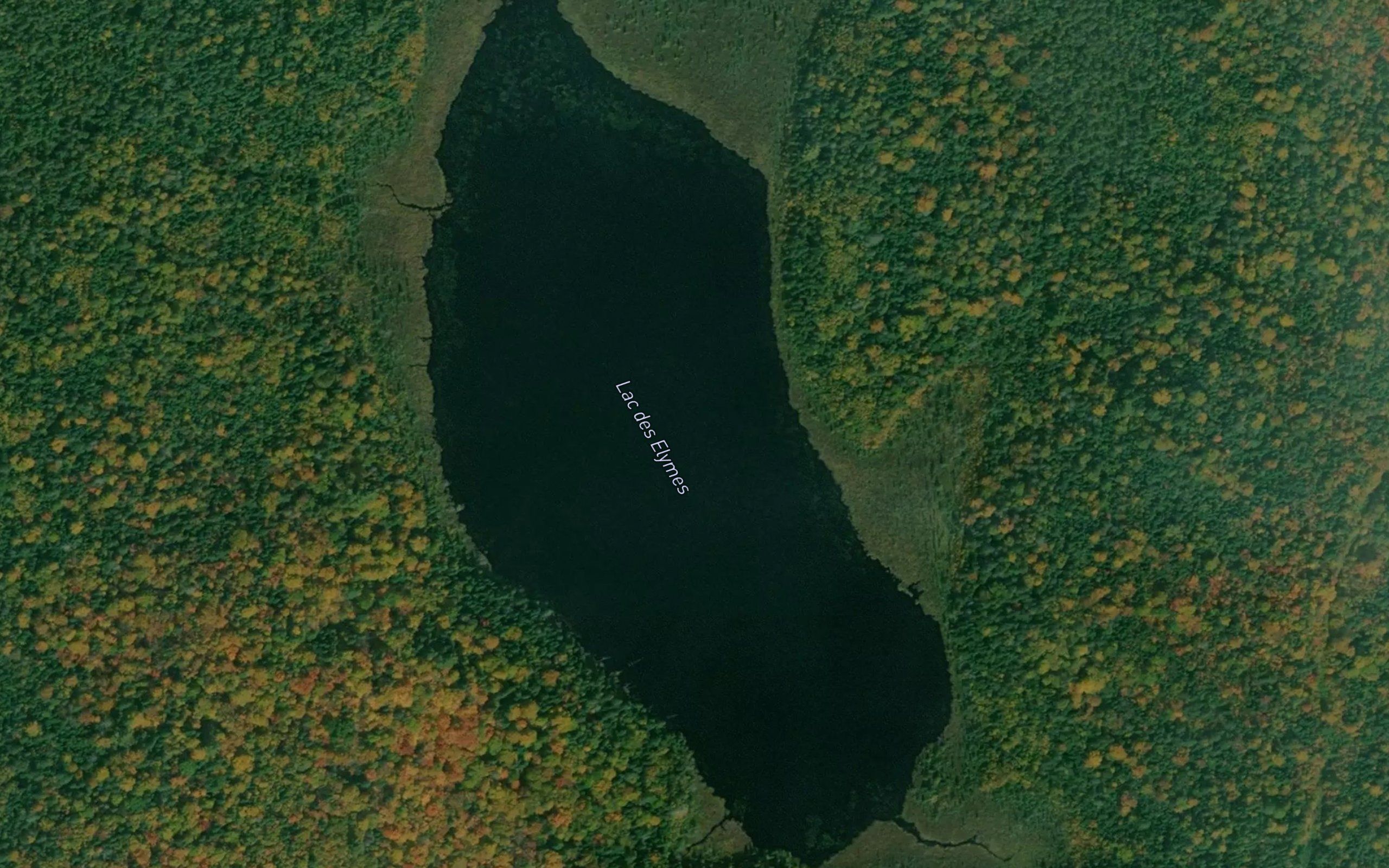 Lac des Elymes