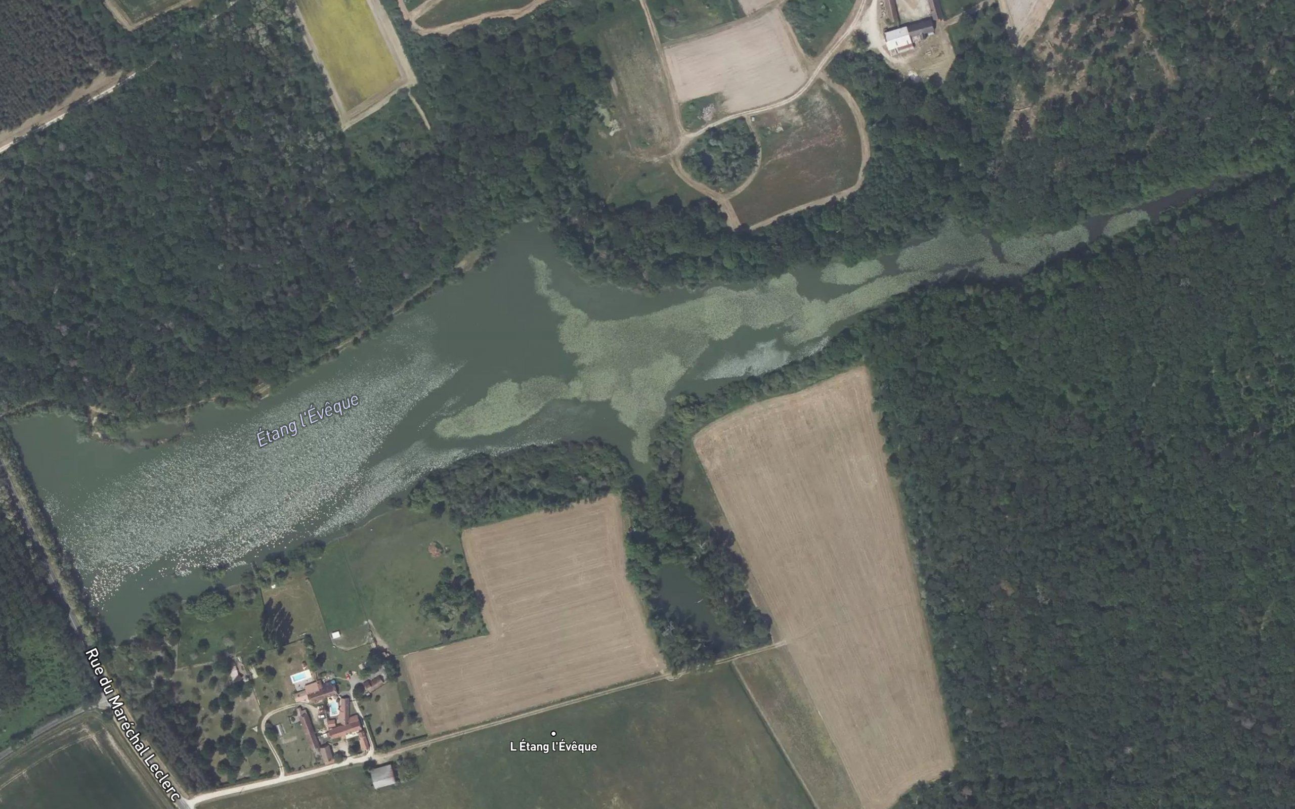 Etang l'Eveque