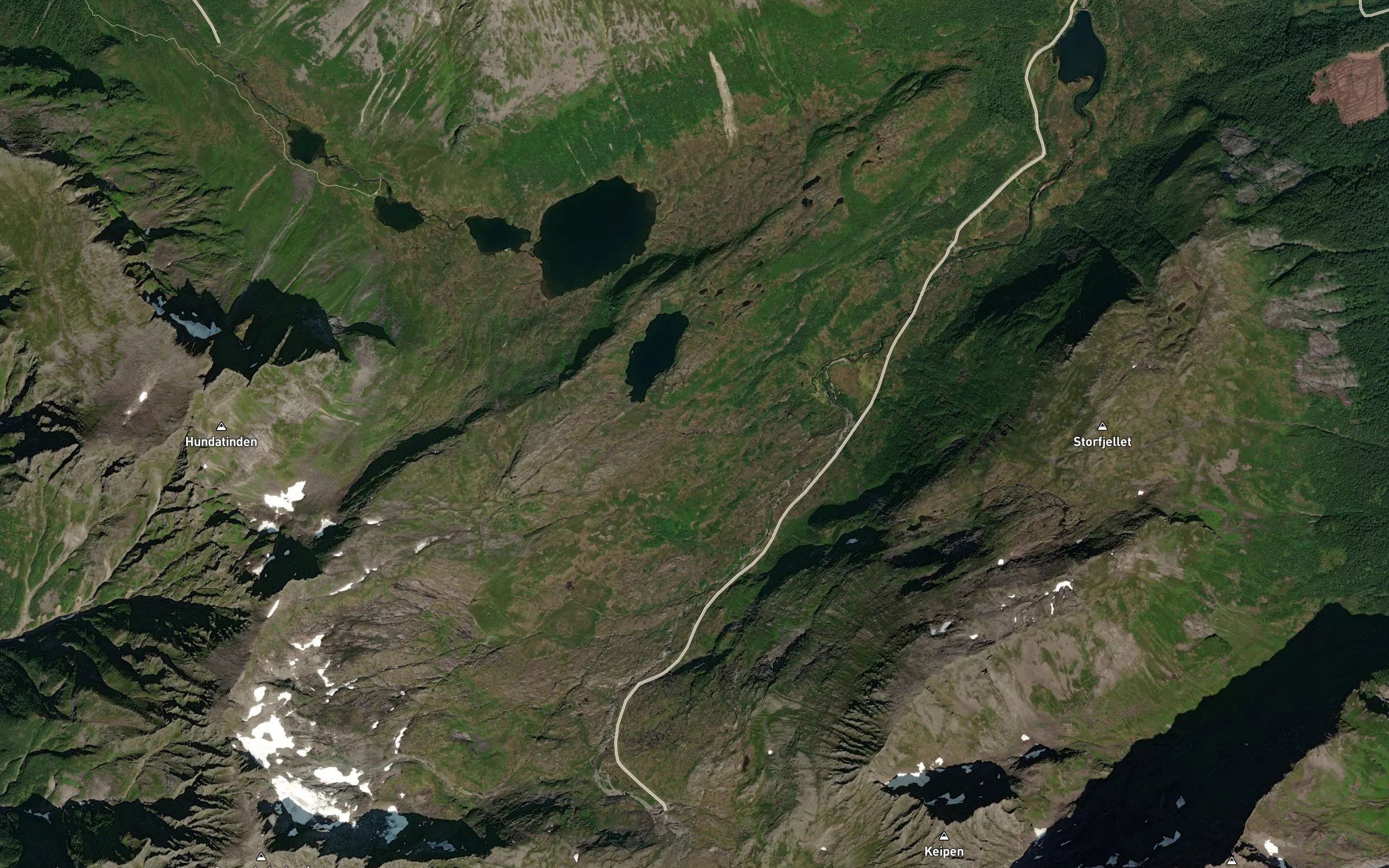 Trollvassgrova