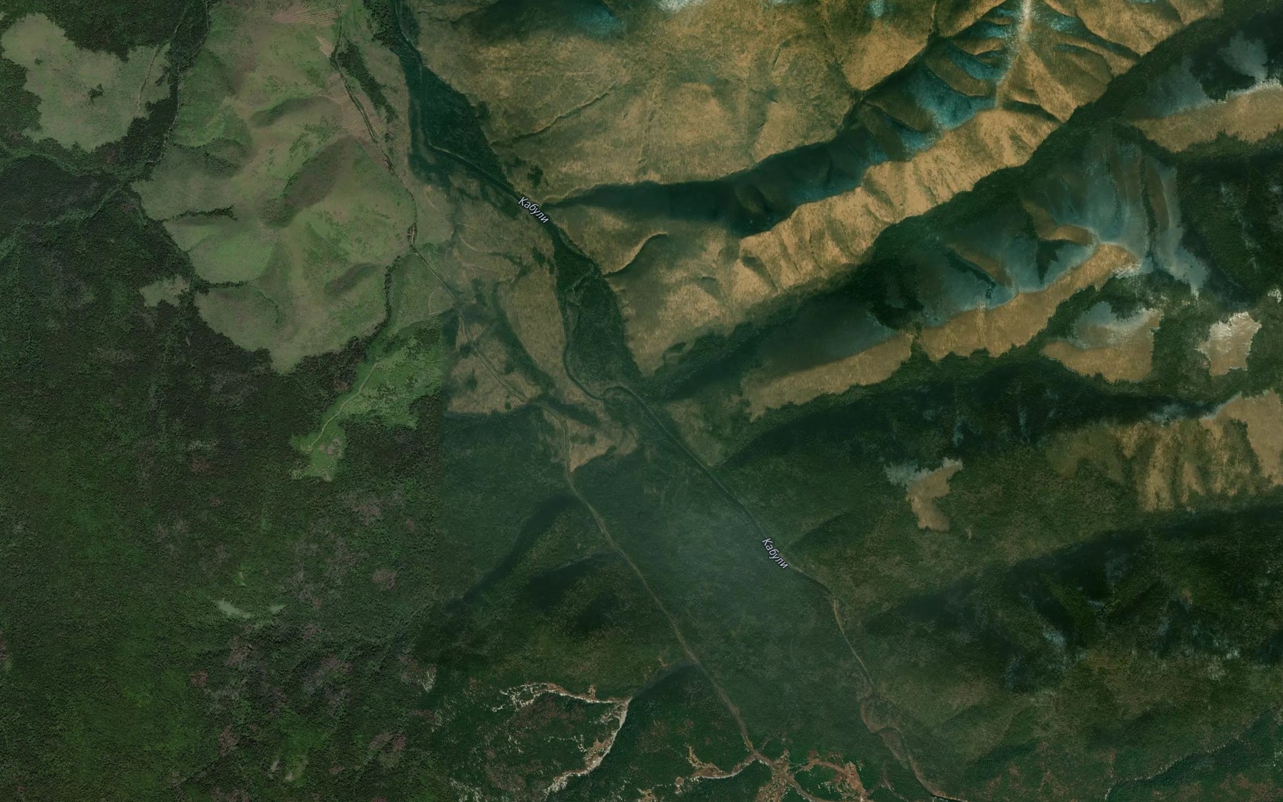 Satellite map of the Snegovoy